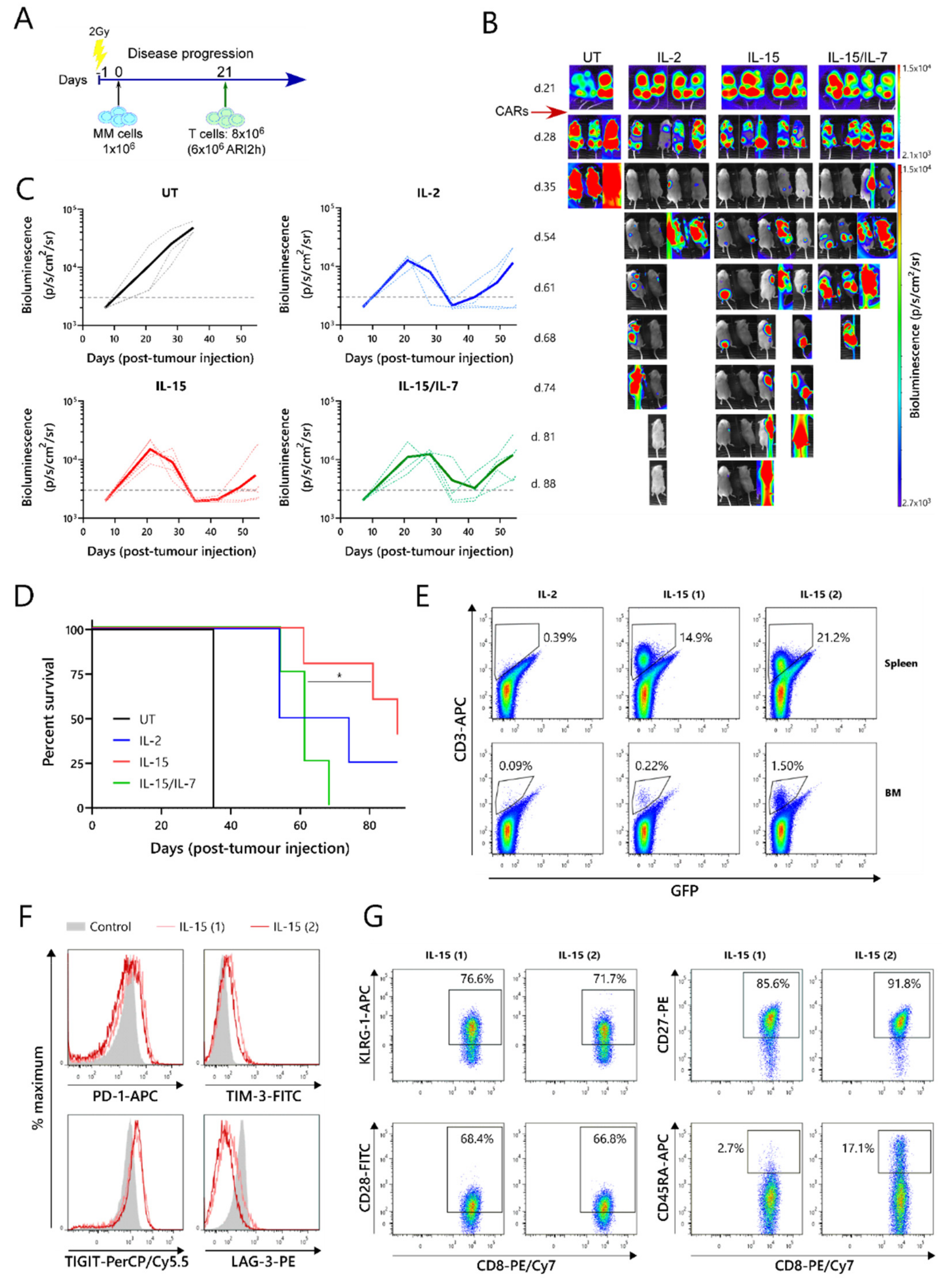 Cancers 13 03534 g003 550