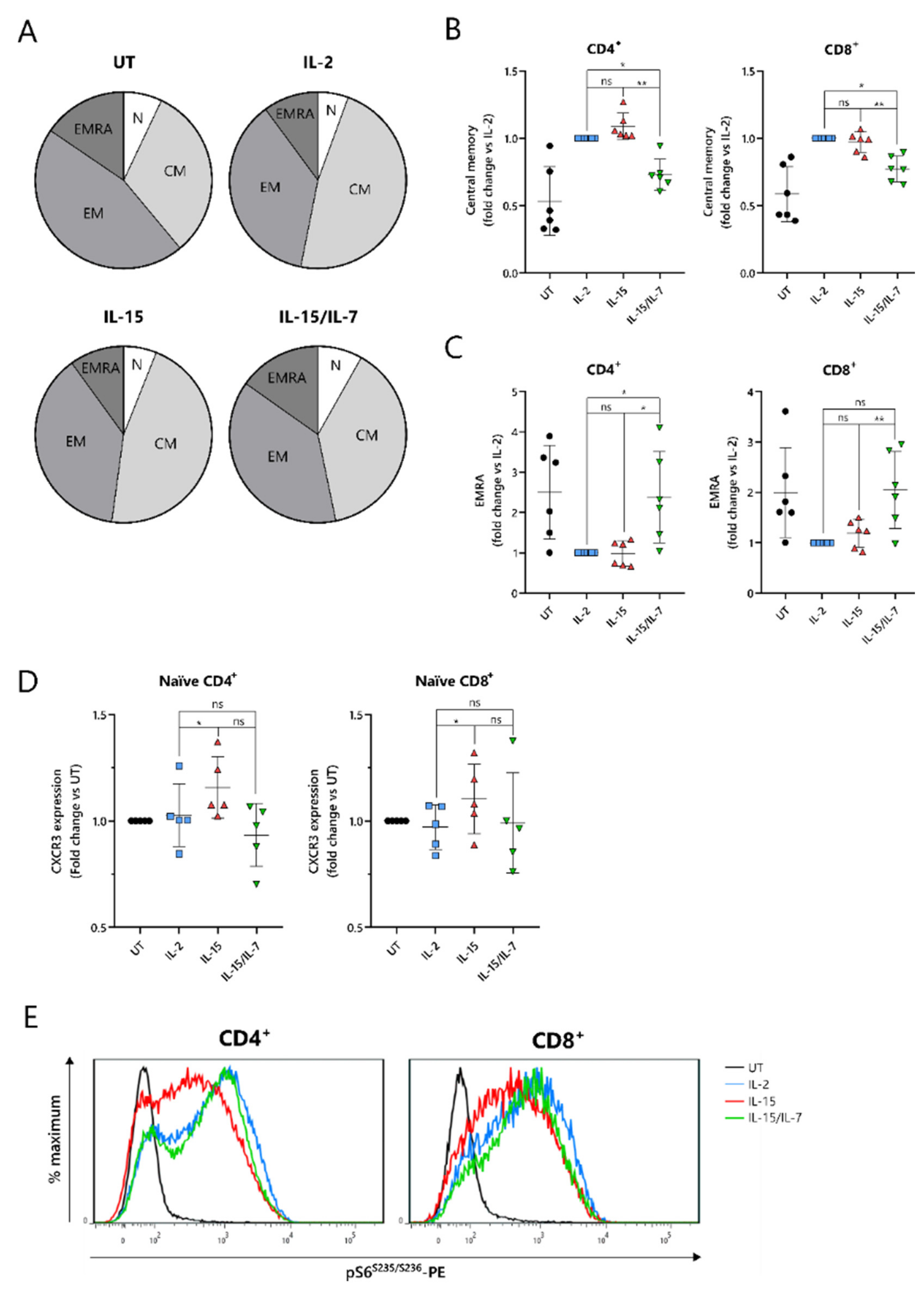 Cancers 13 03534 g004 550