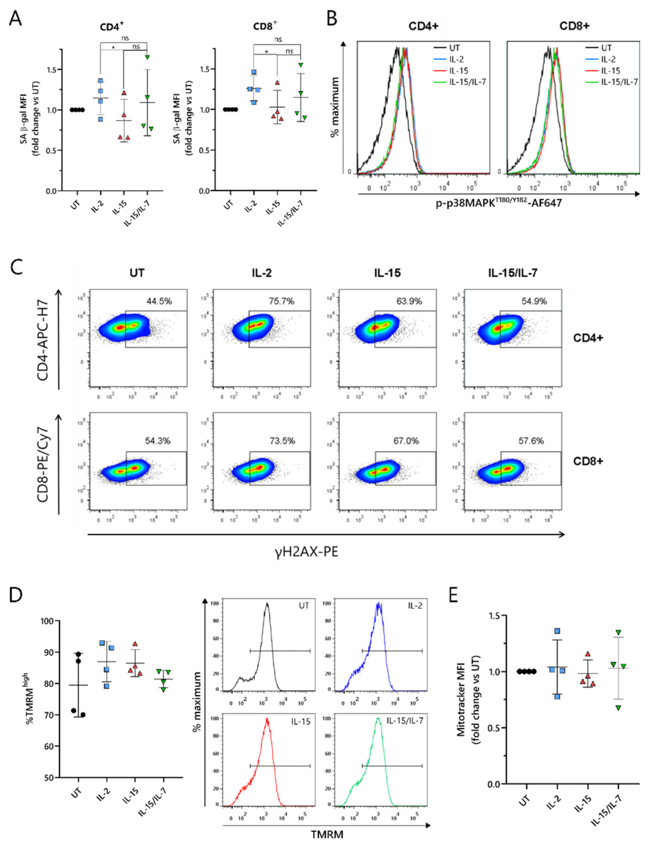 Cancers 13 03534 g006 550