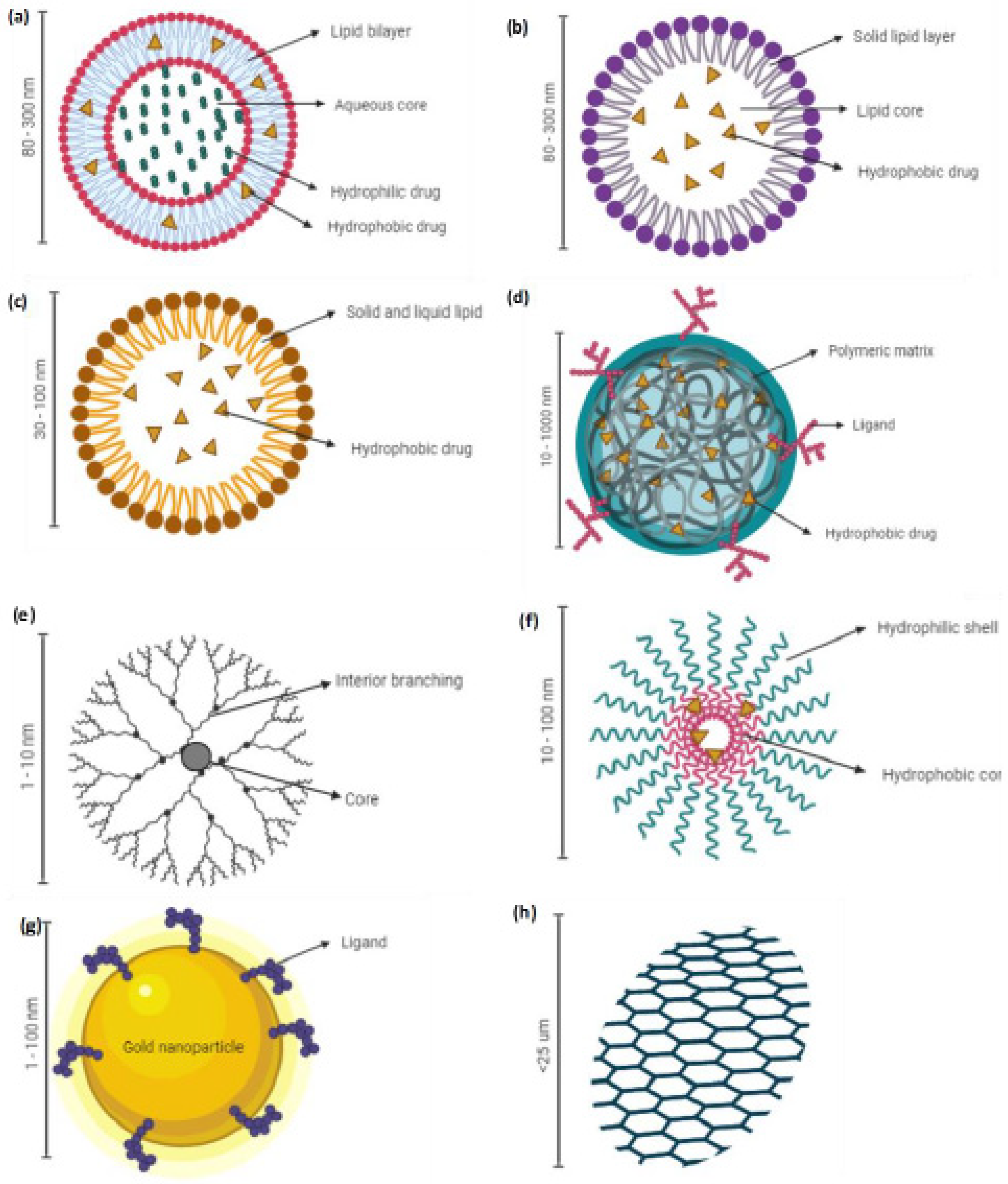 Conjugated Nanoparticles for Solid Tumor Theranostics: Unraveling