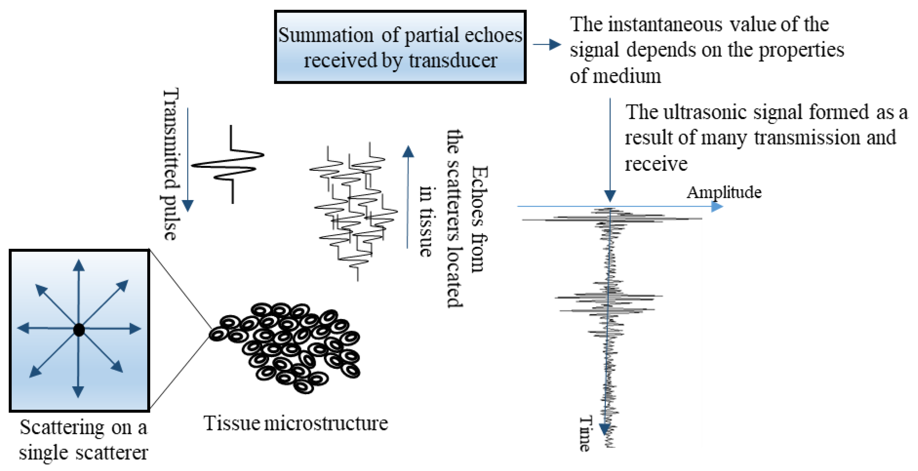 Cancers 13 03546 g001
