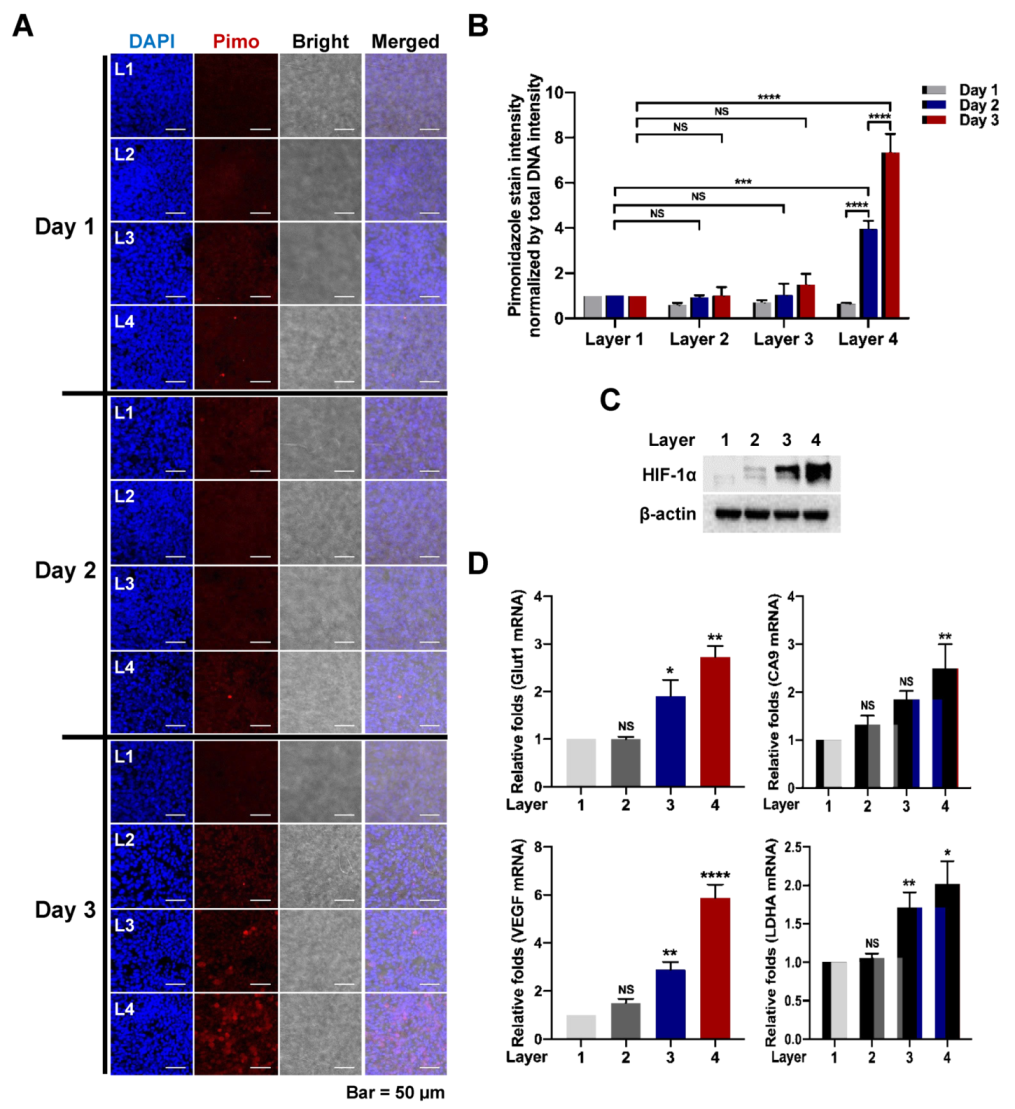 Cancers 13 03550 g003