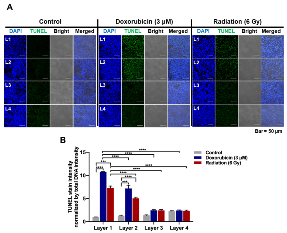 Cancers 13 03550 g004