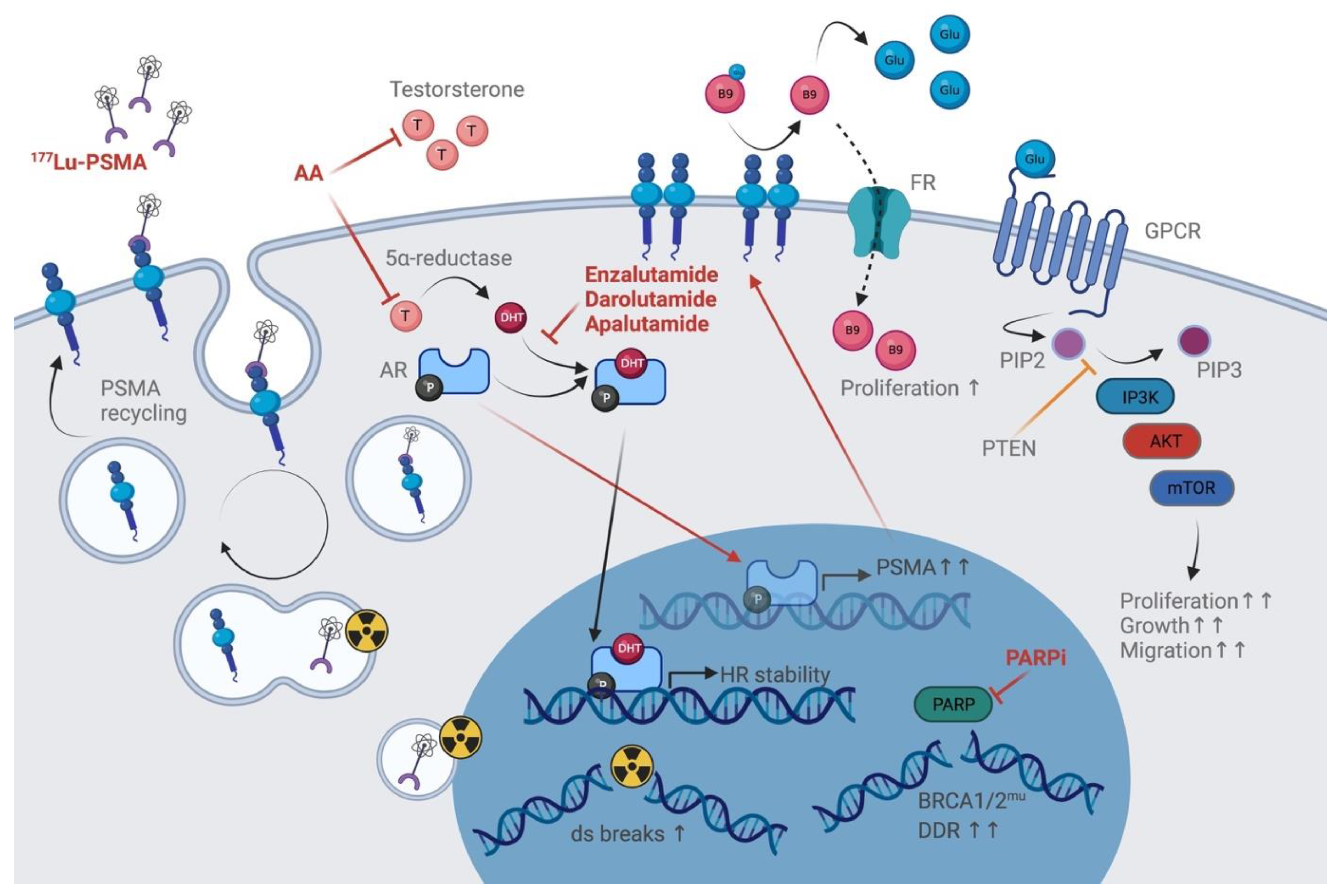 Cancers 13 03556 g001 Cancers 13 03556 g001