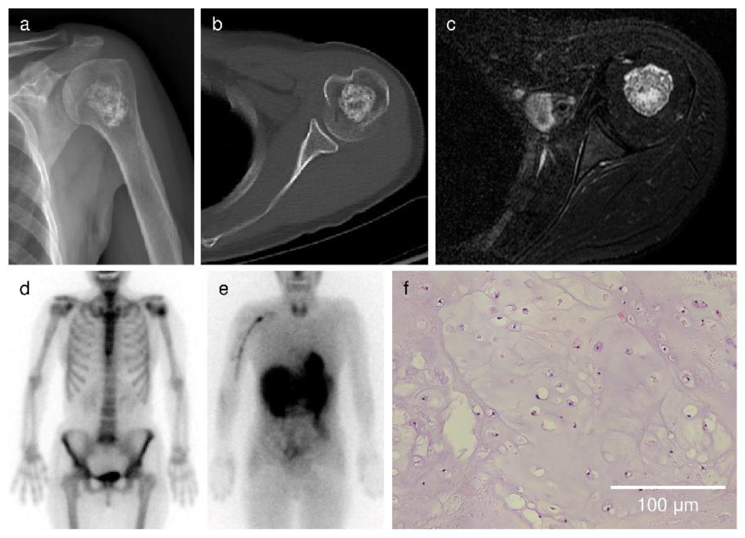 Cancers 13 03558 g003