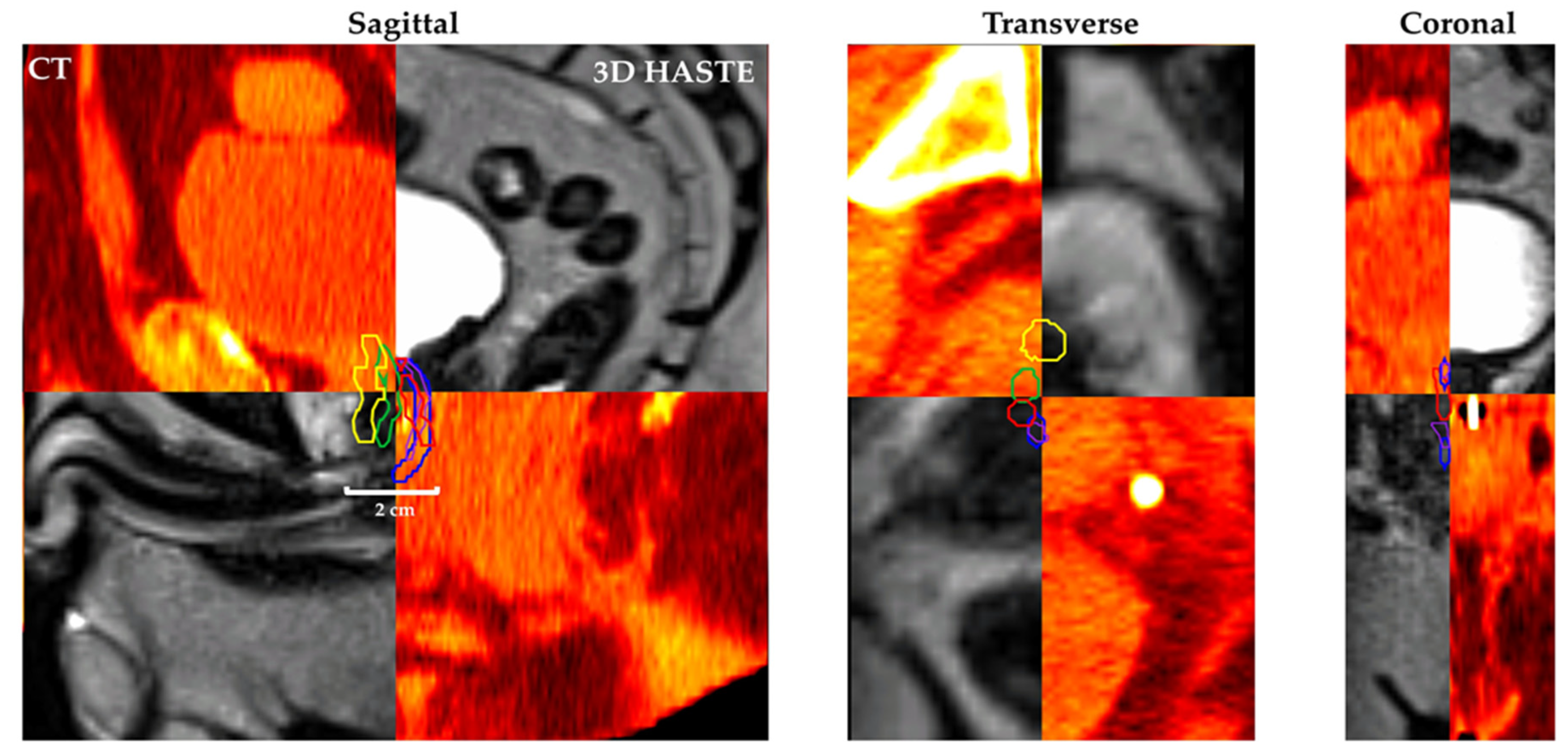 Cancers 13 03564 g004 550