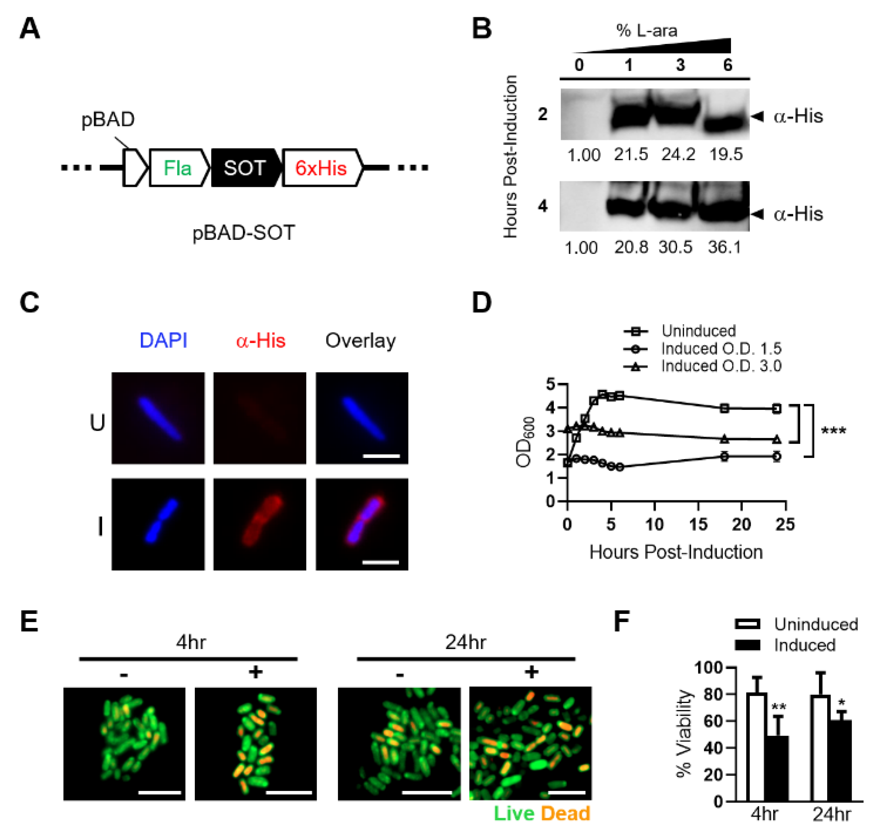 Cancers 13 03565 g001