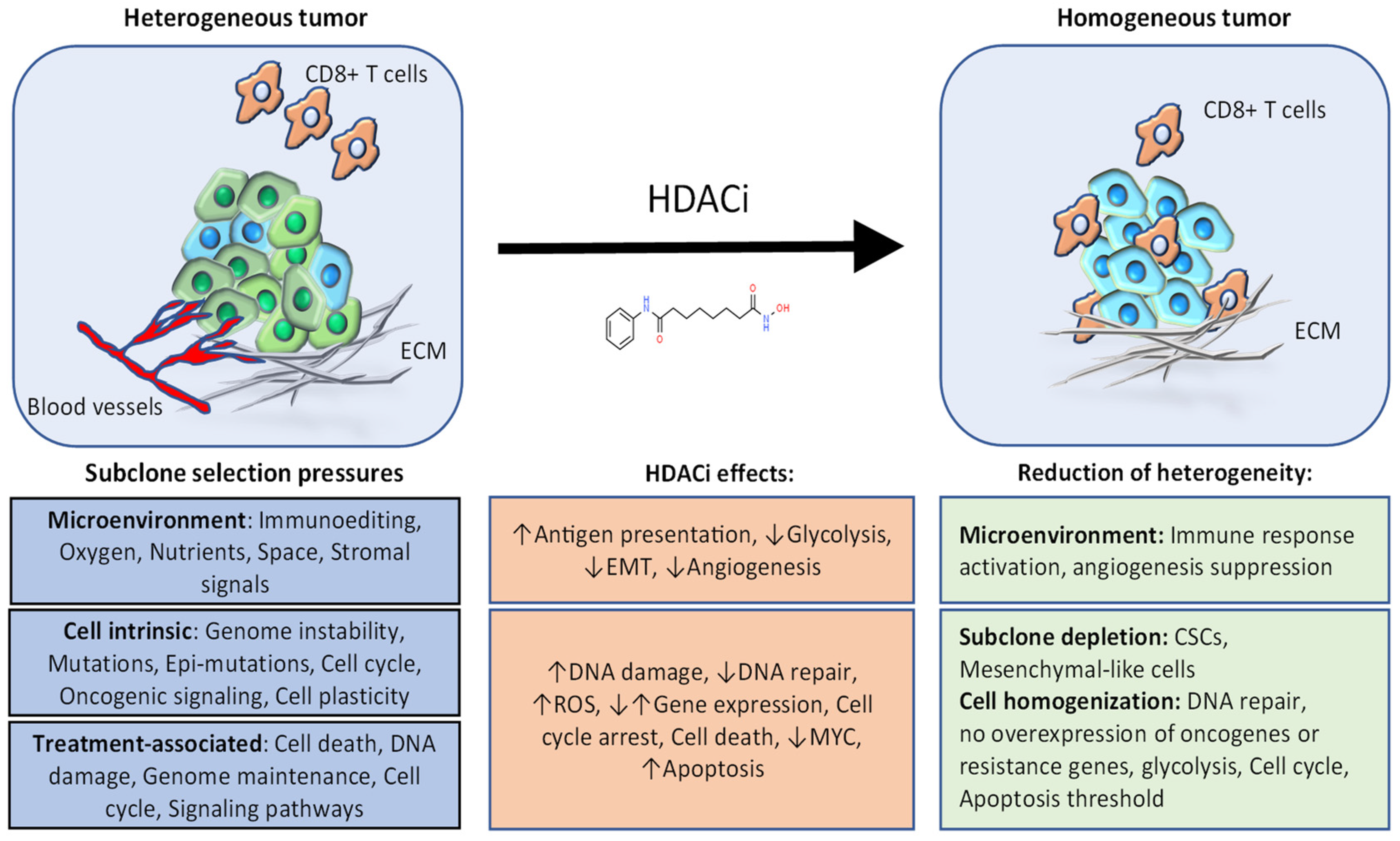 Cancers 13 03575 g003