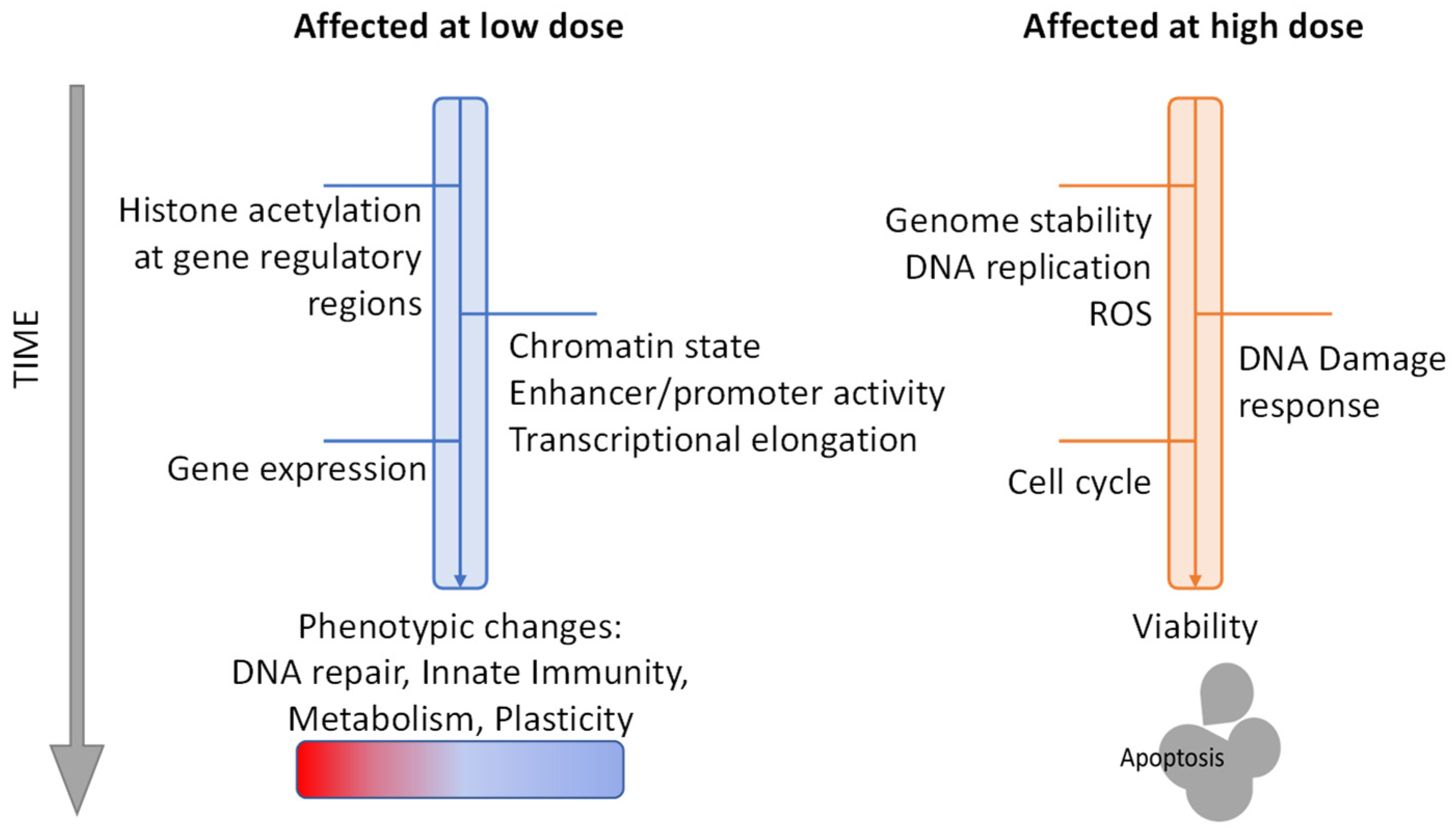 Cancers 13 03575 g005