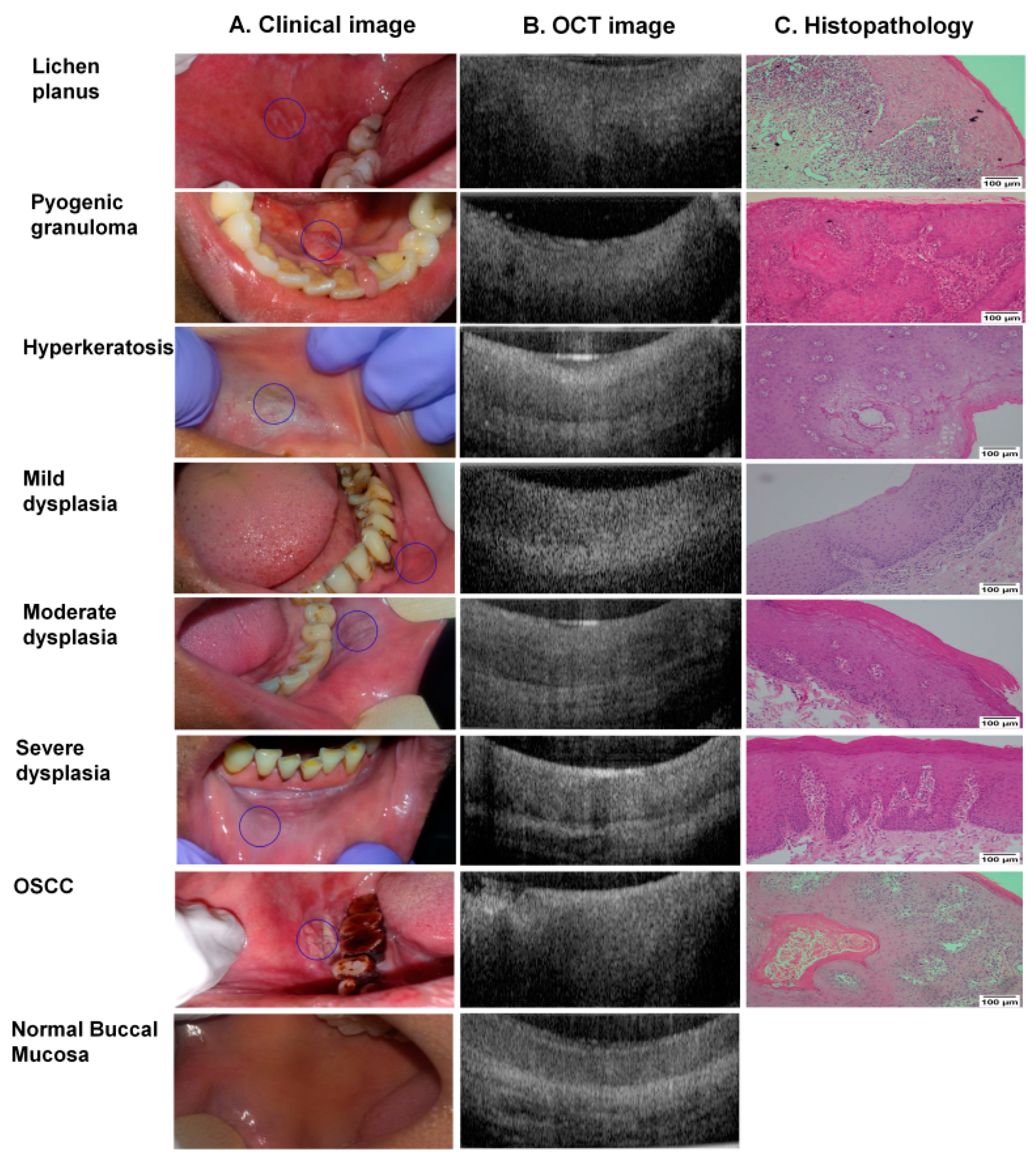 Cancers 13 03583 g003 550
