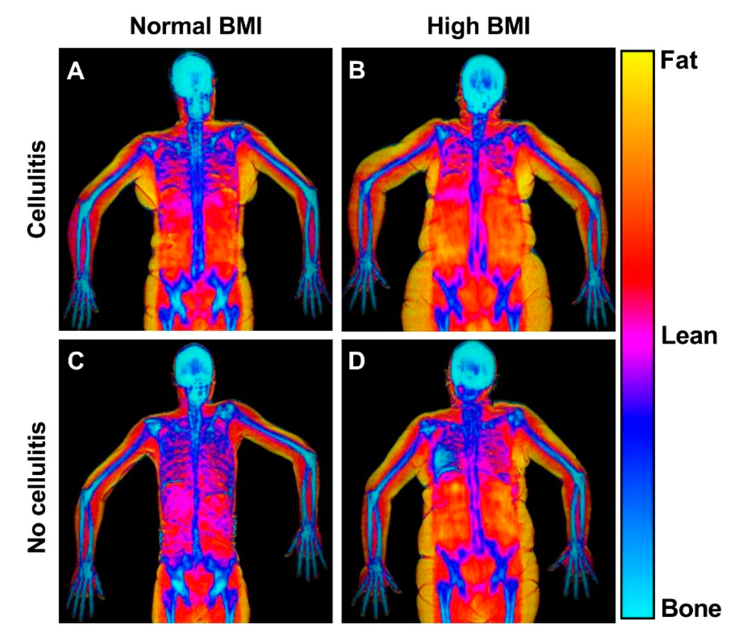 Cancers 13 03584 g005 550