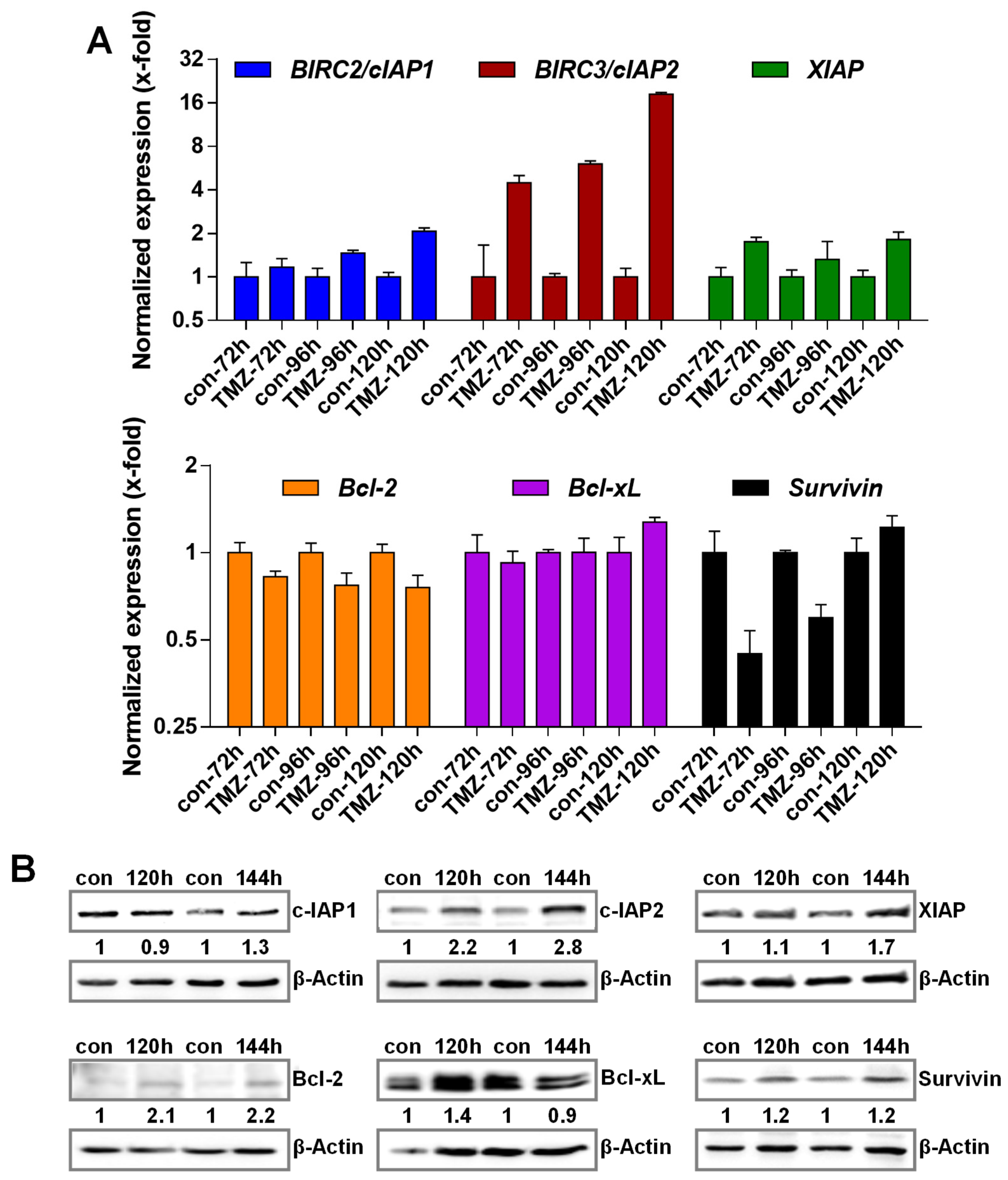 Cancers 13 03585 g002 Cancers 13 03585 g002