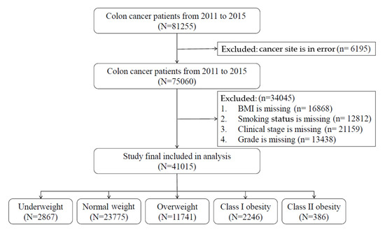 Cancers Free Full Text Correlation Of Body Mass Index With Oncologic Outcomes In Colorectal Cancer Patients A Large Population Based Study Html