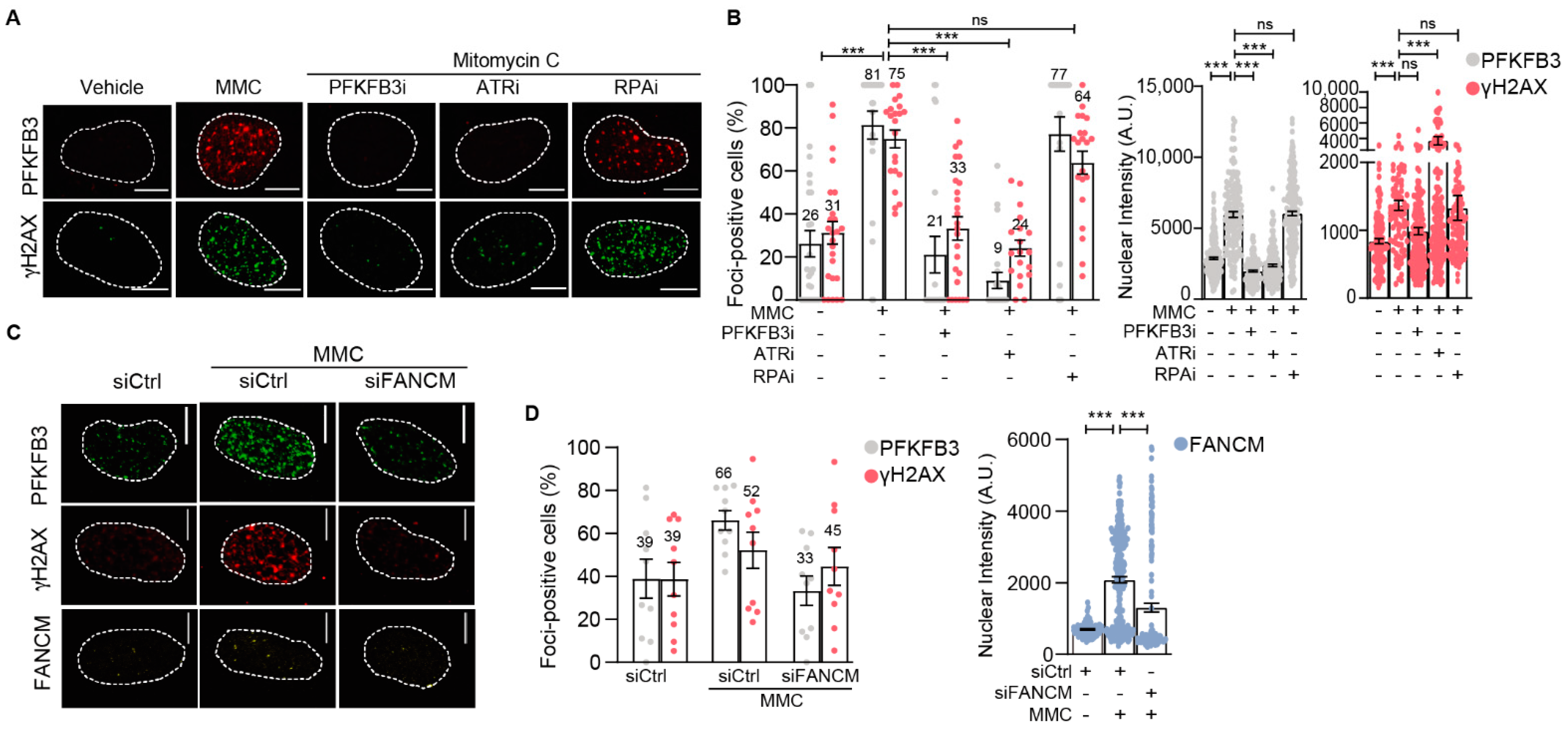 Cancers 13 03604 g003 550