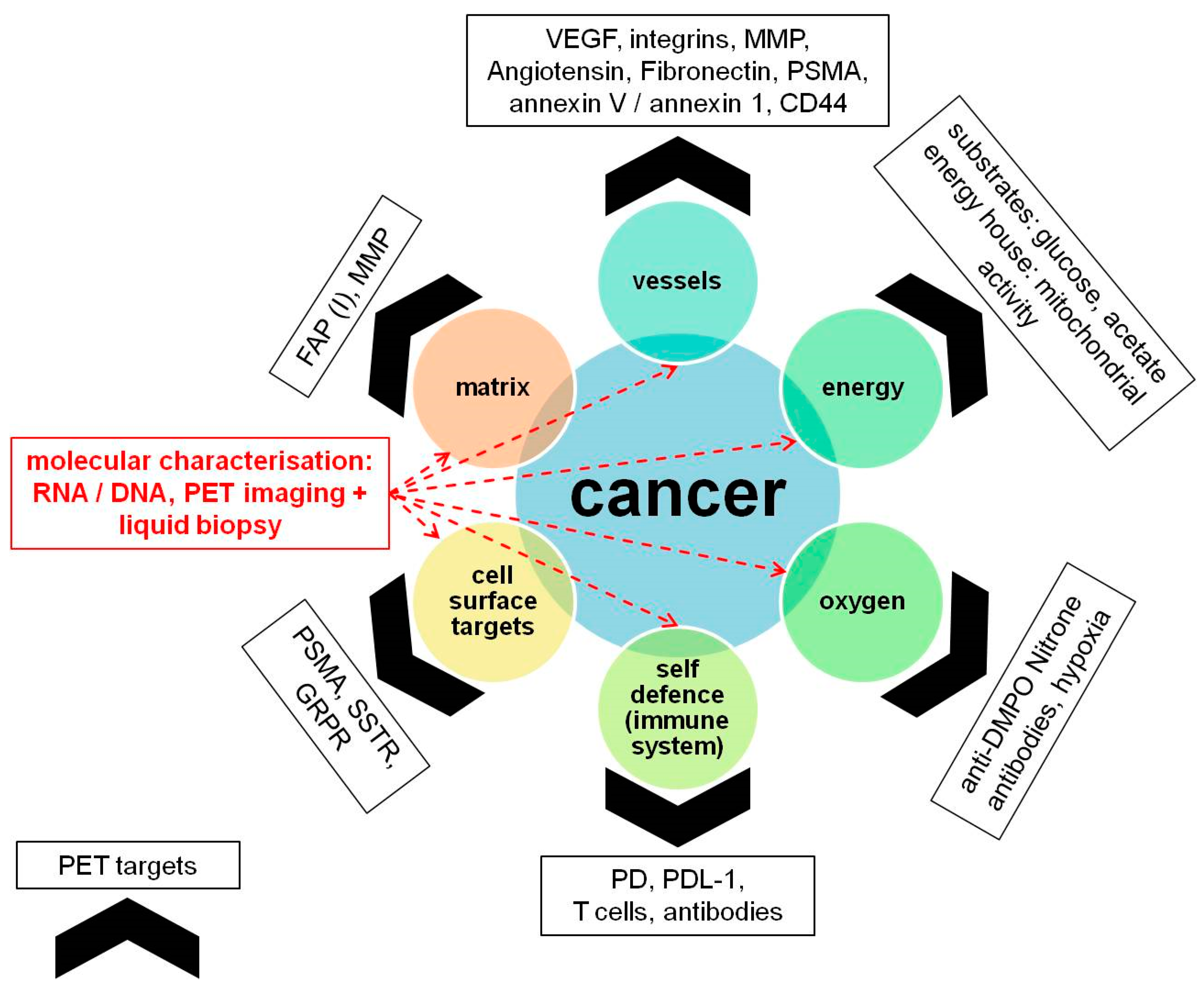 Cancers 13 03607 g006