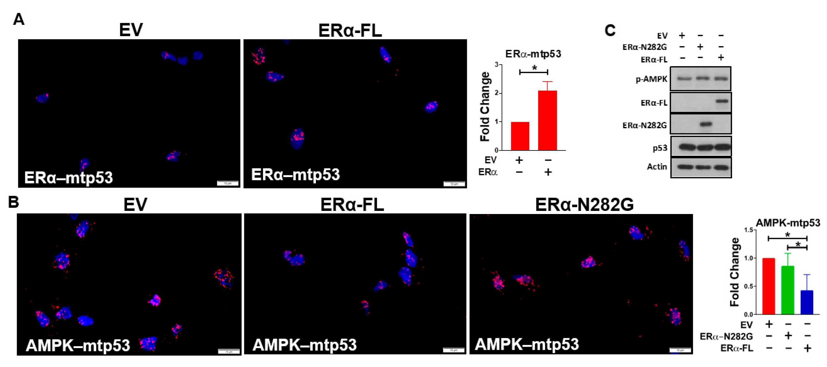 Cancers 13 03612 g002