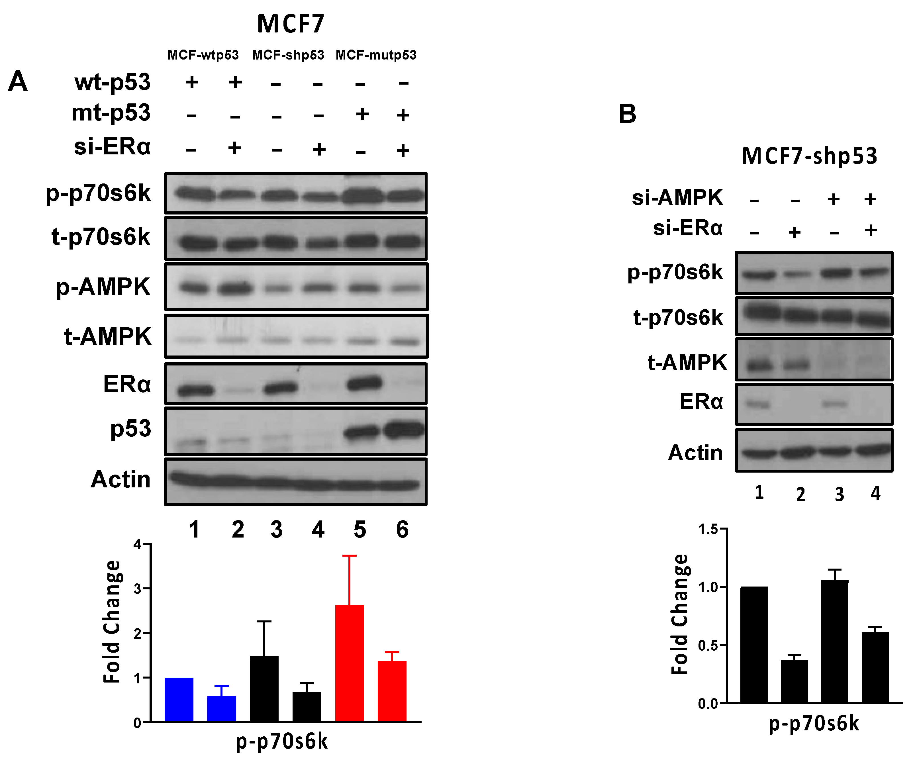 Cancers 13 03612 g003