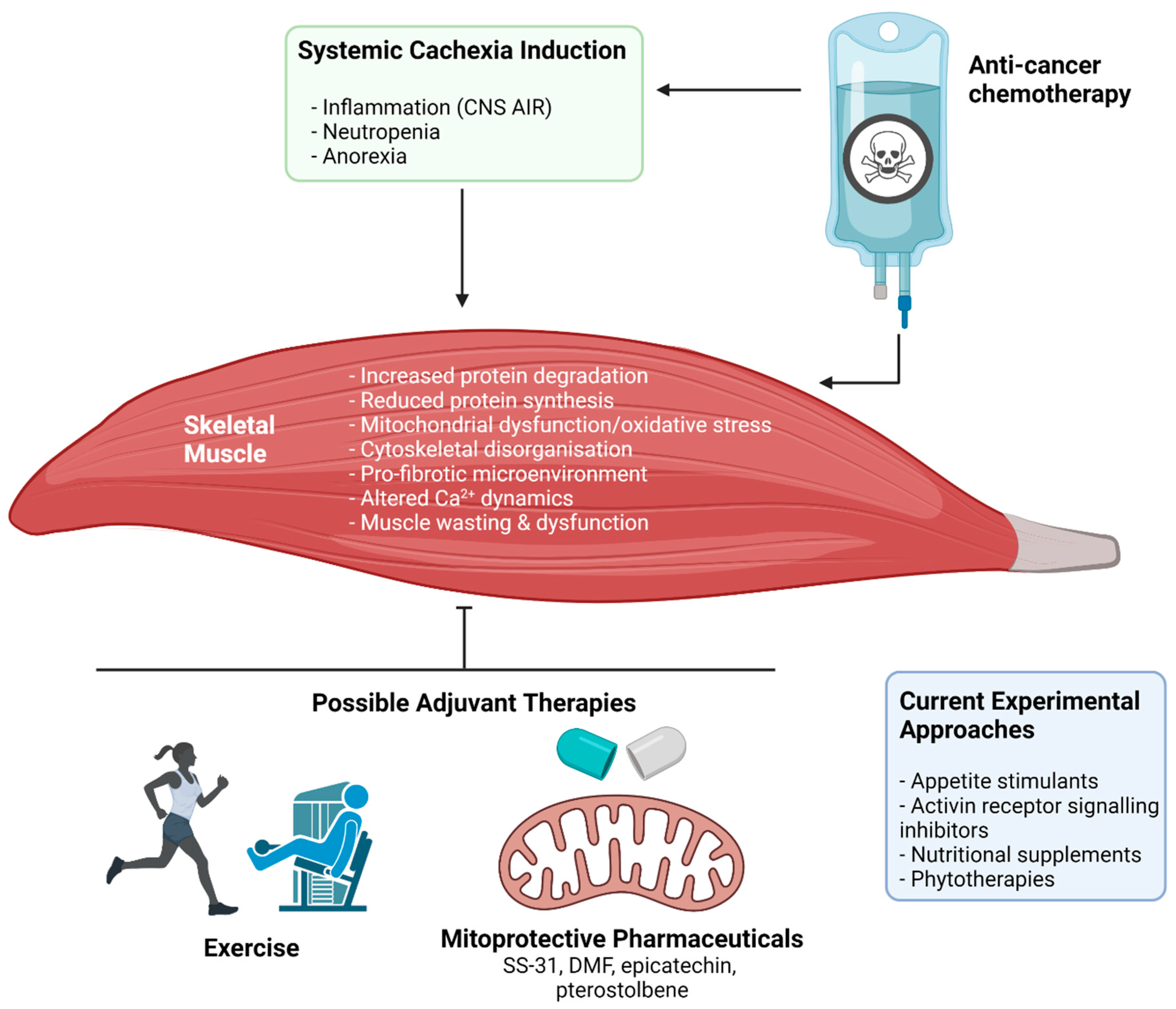 Cancers 13 03615 g004 Cancers 13 03615 g004