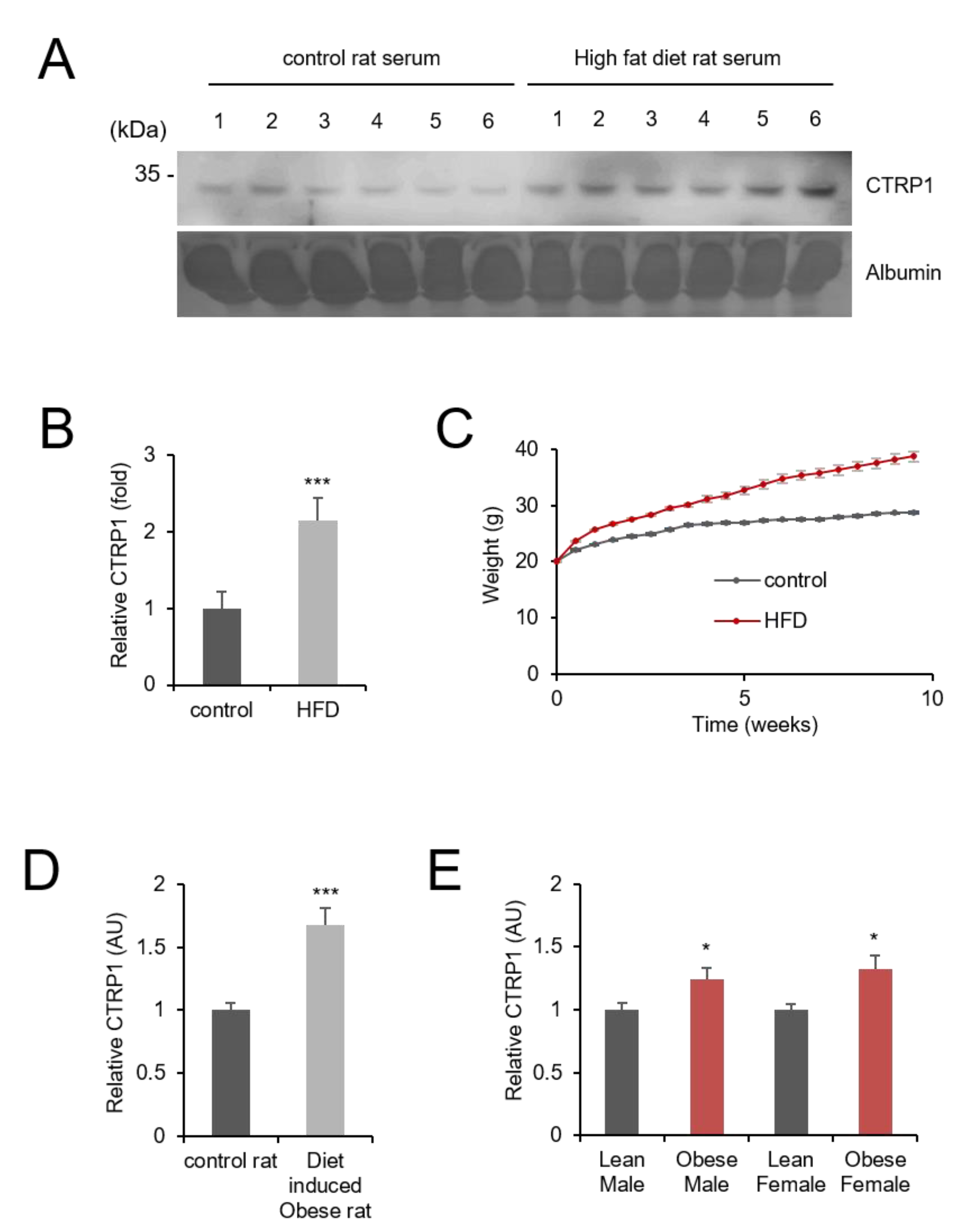 Cancers 13 03619 g001