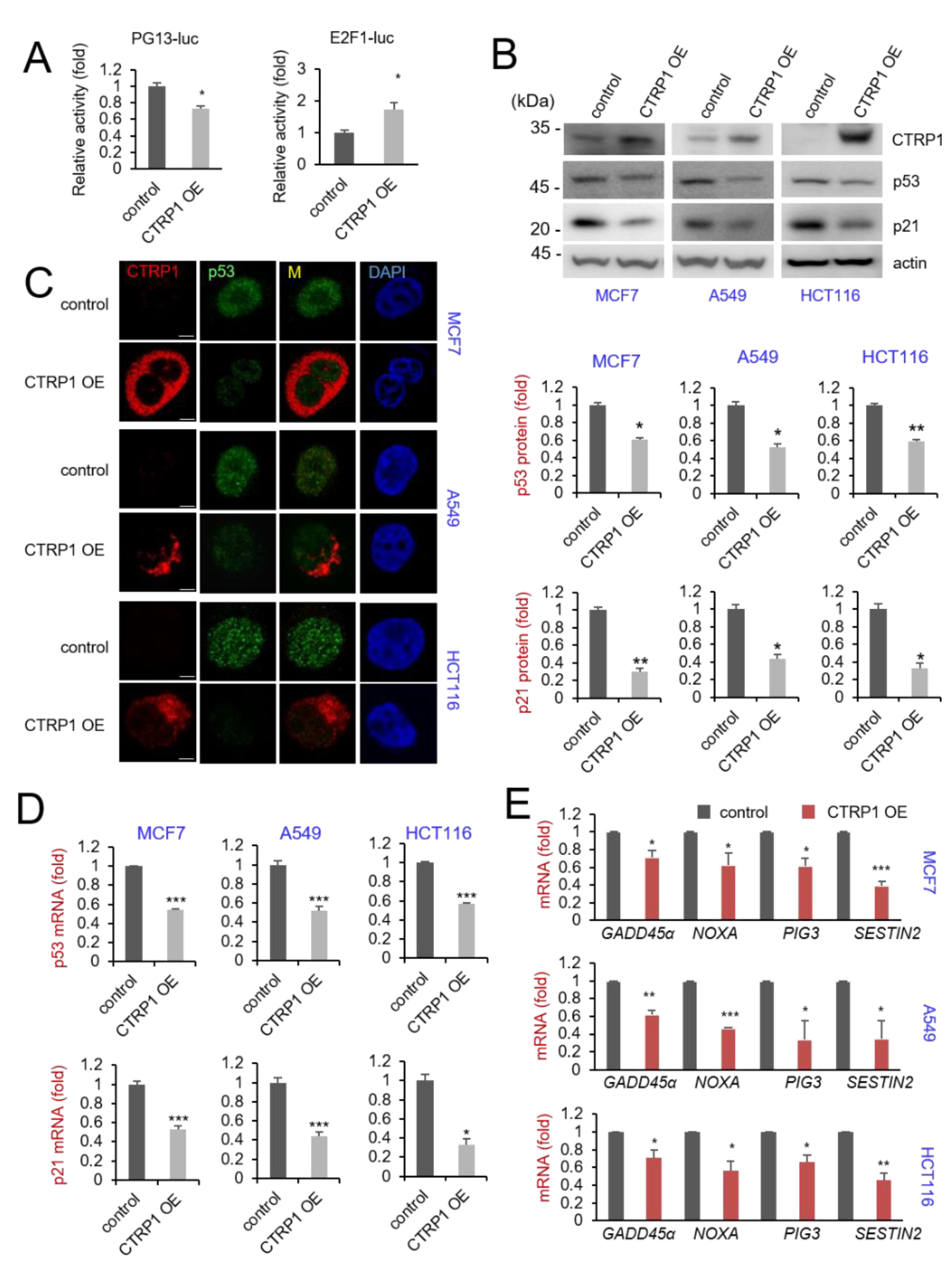 Cancers 13 03619 g002