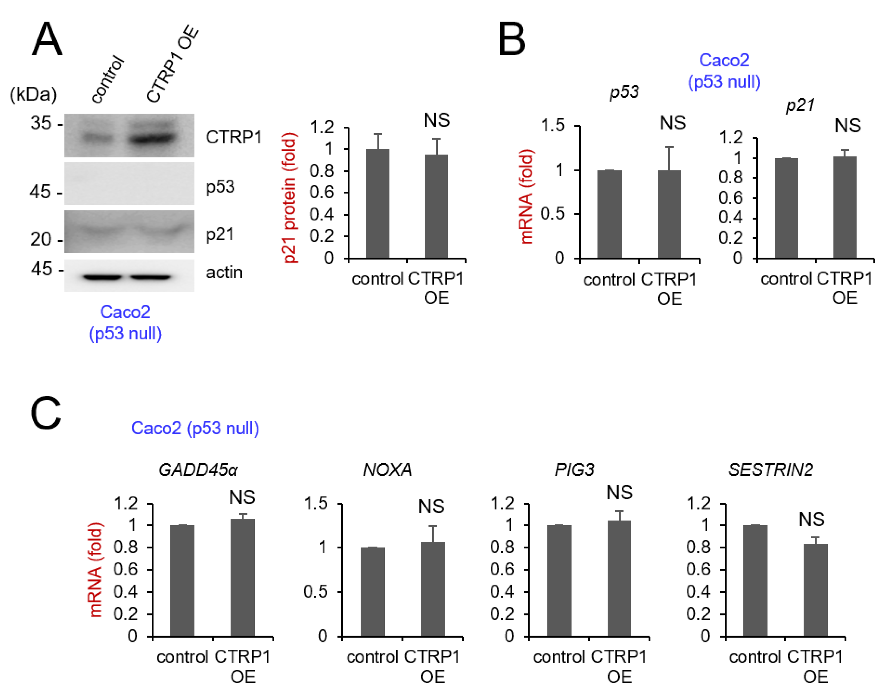 Cancers 13 03619 g003