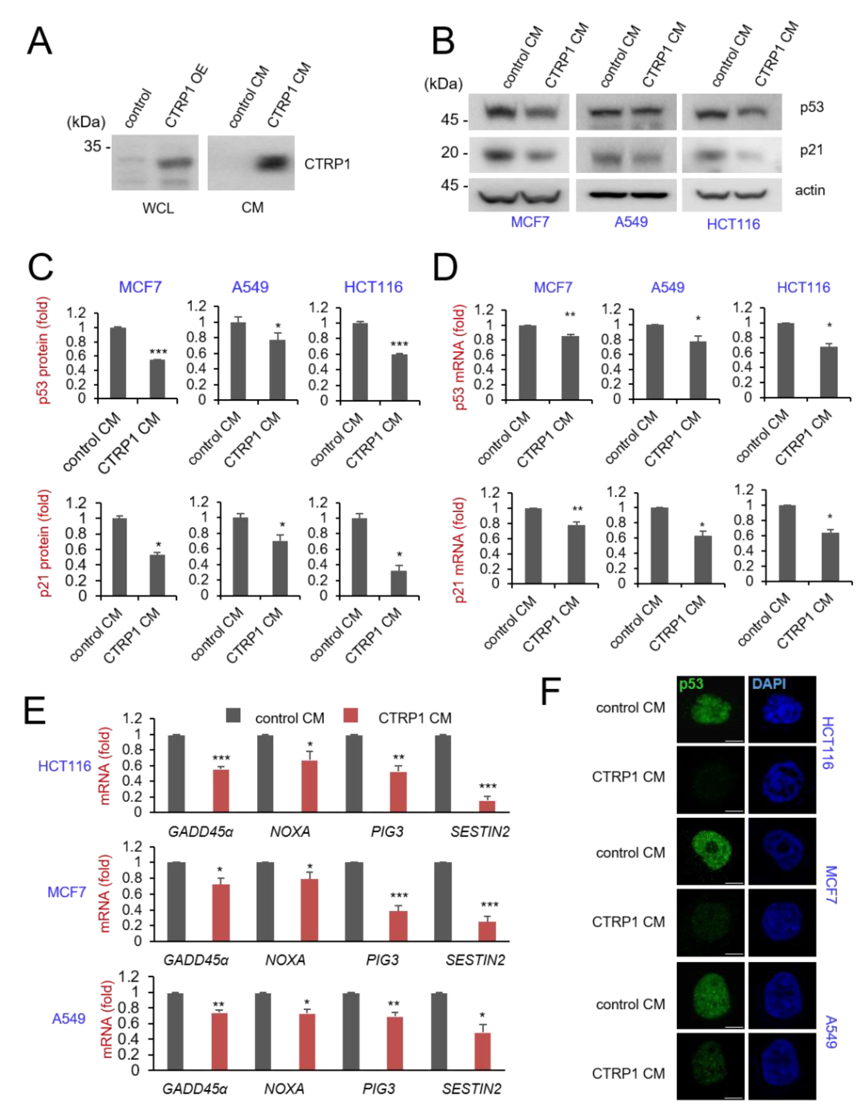 Cancers 13 03619 g004