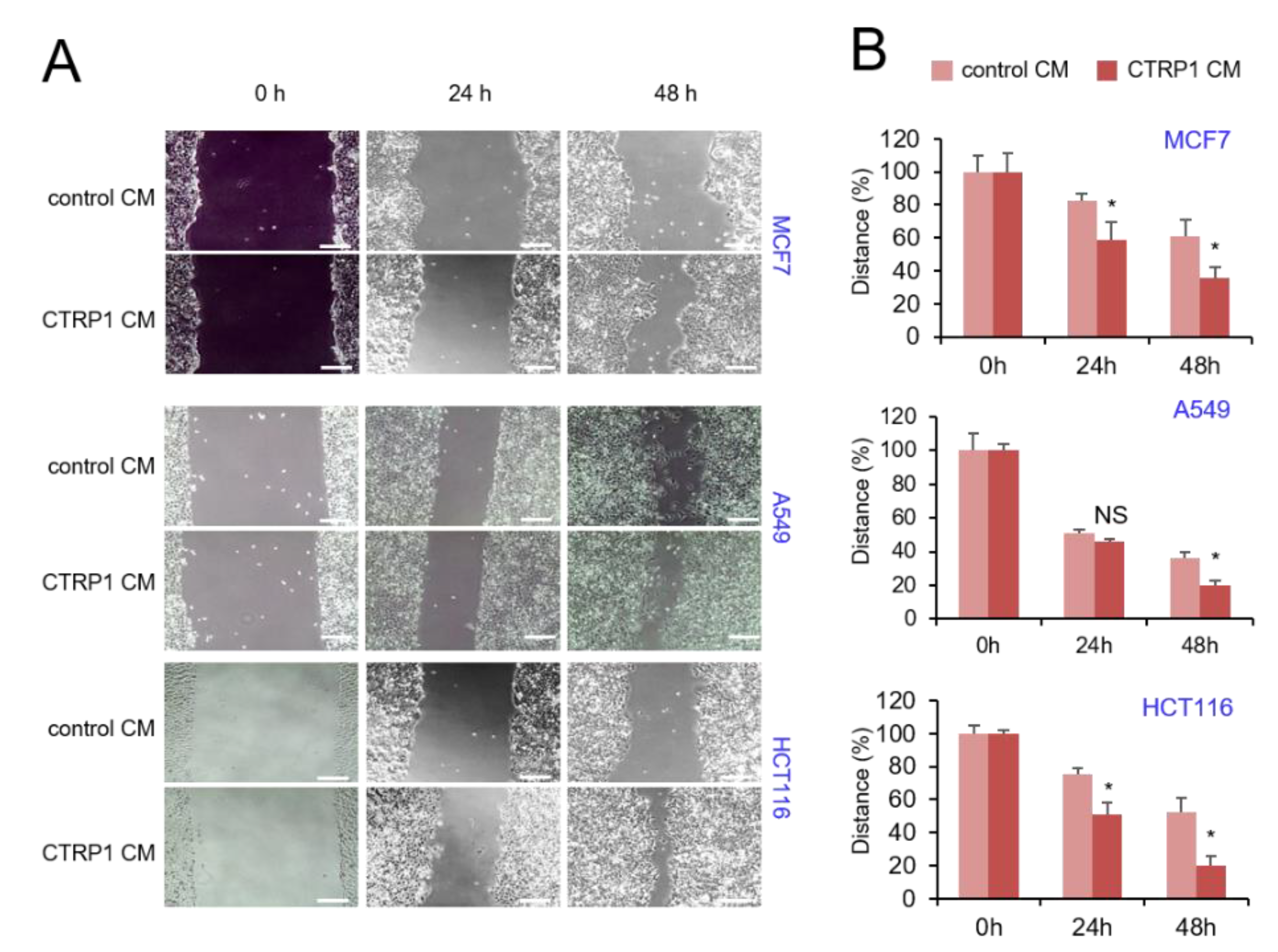 Cancers 13 03619 g006