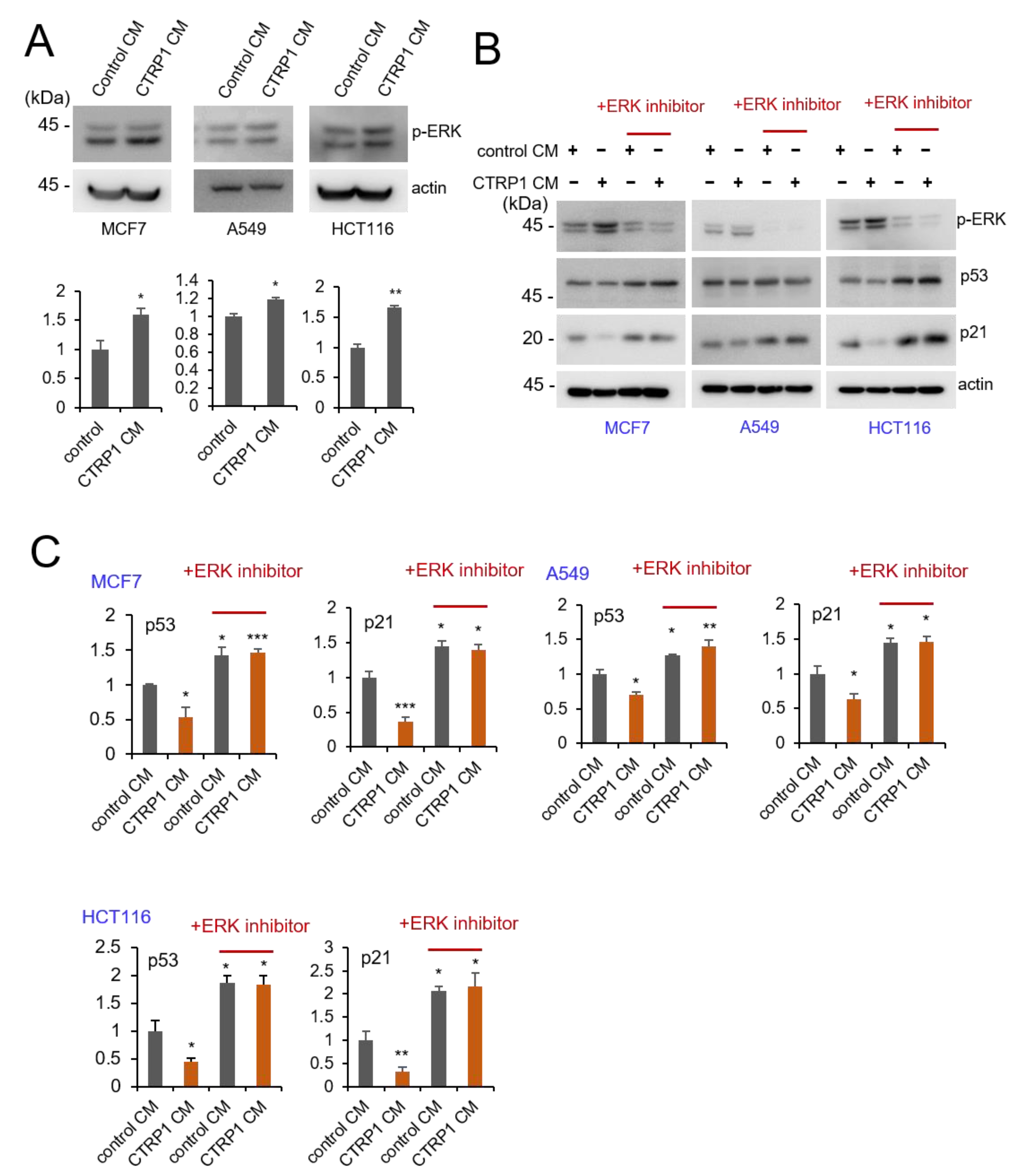 Cancers 13 03619 g007