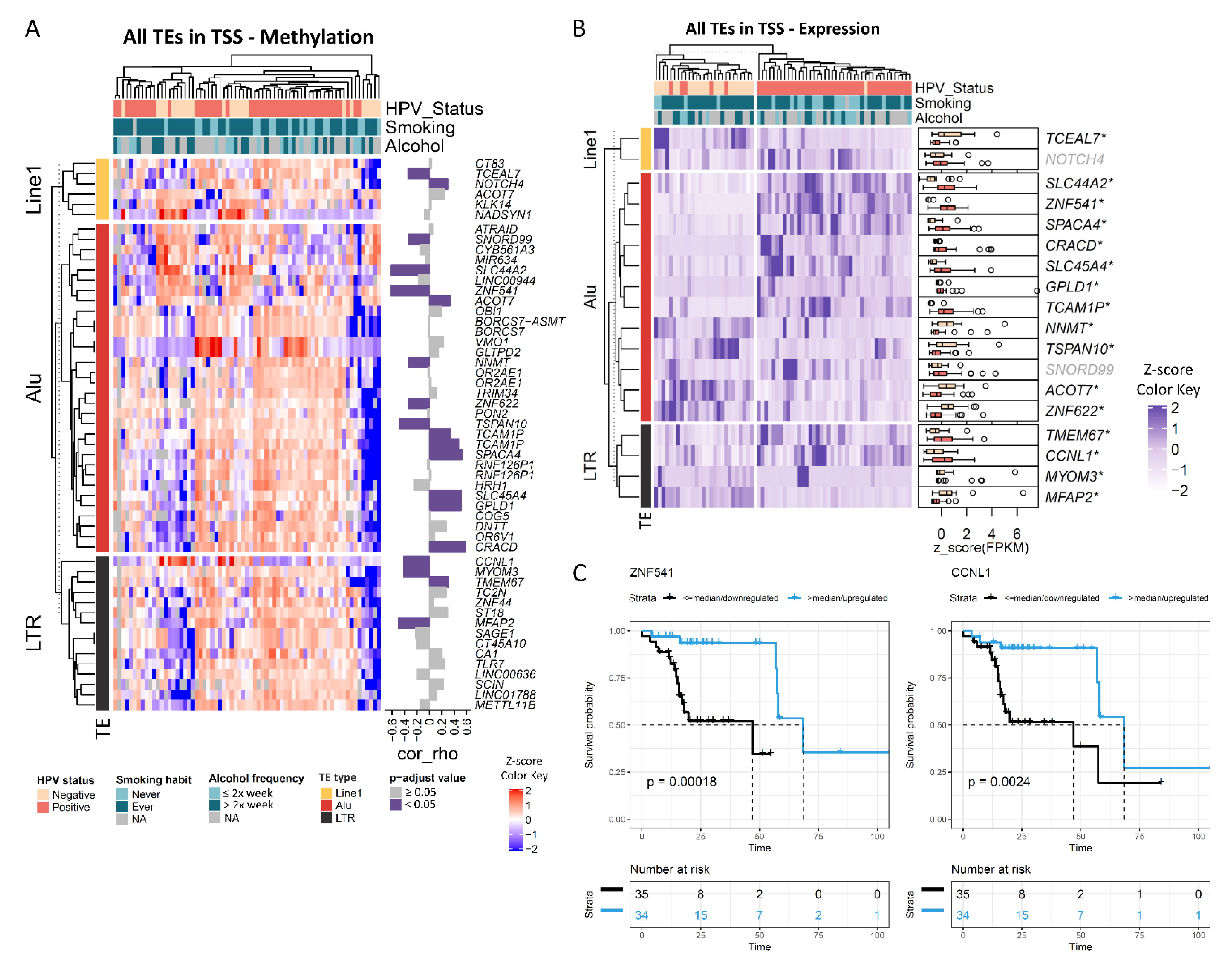 Epigenetic silencing of TCEAL7 (Bex4) in ovarian cancer