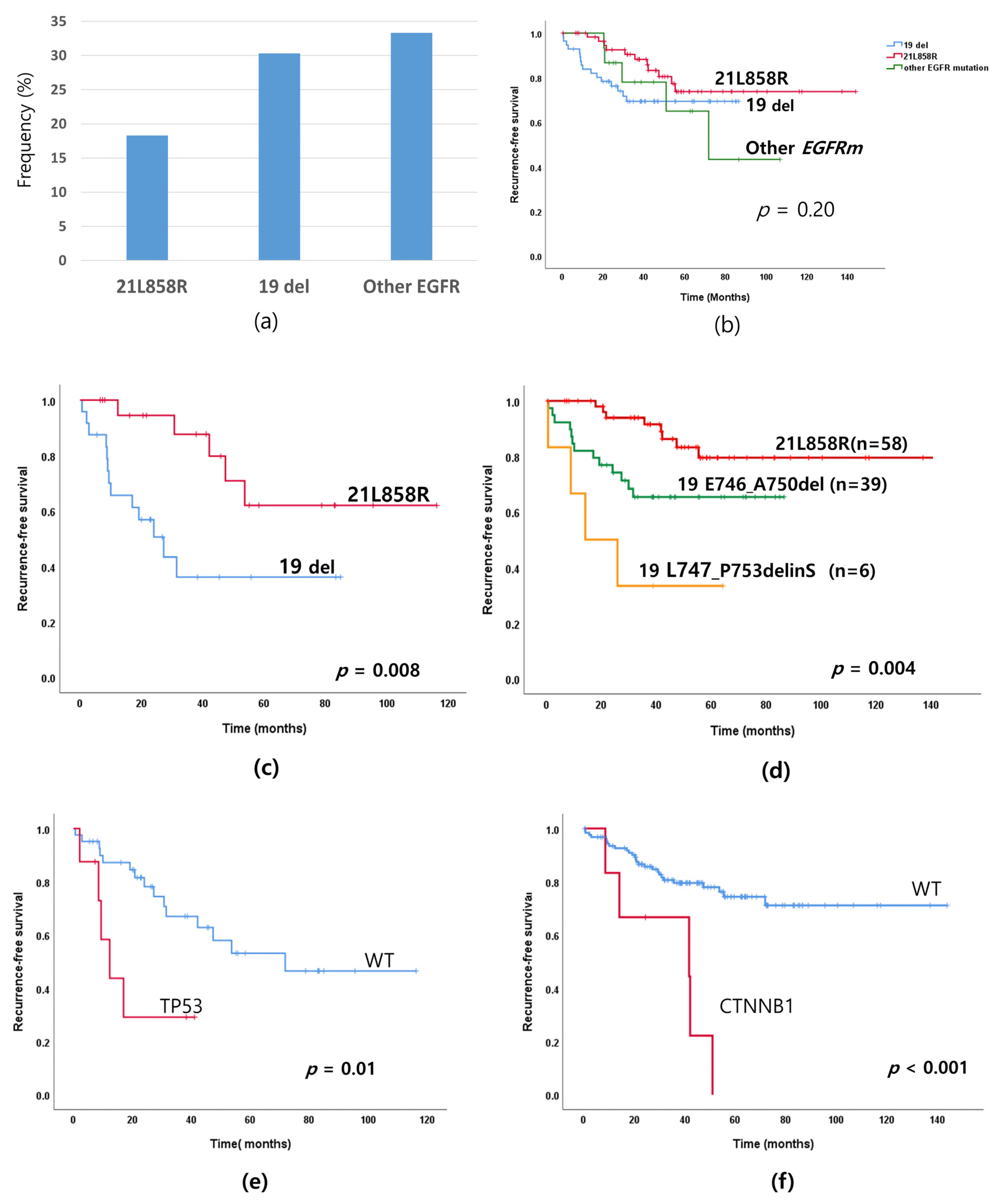 Cancers 13 03632 g003