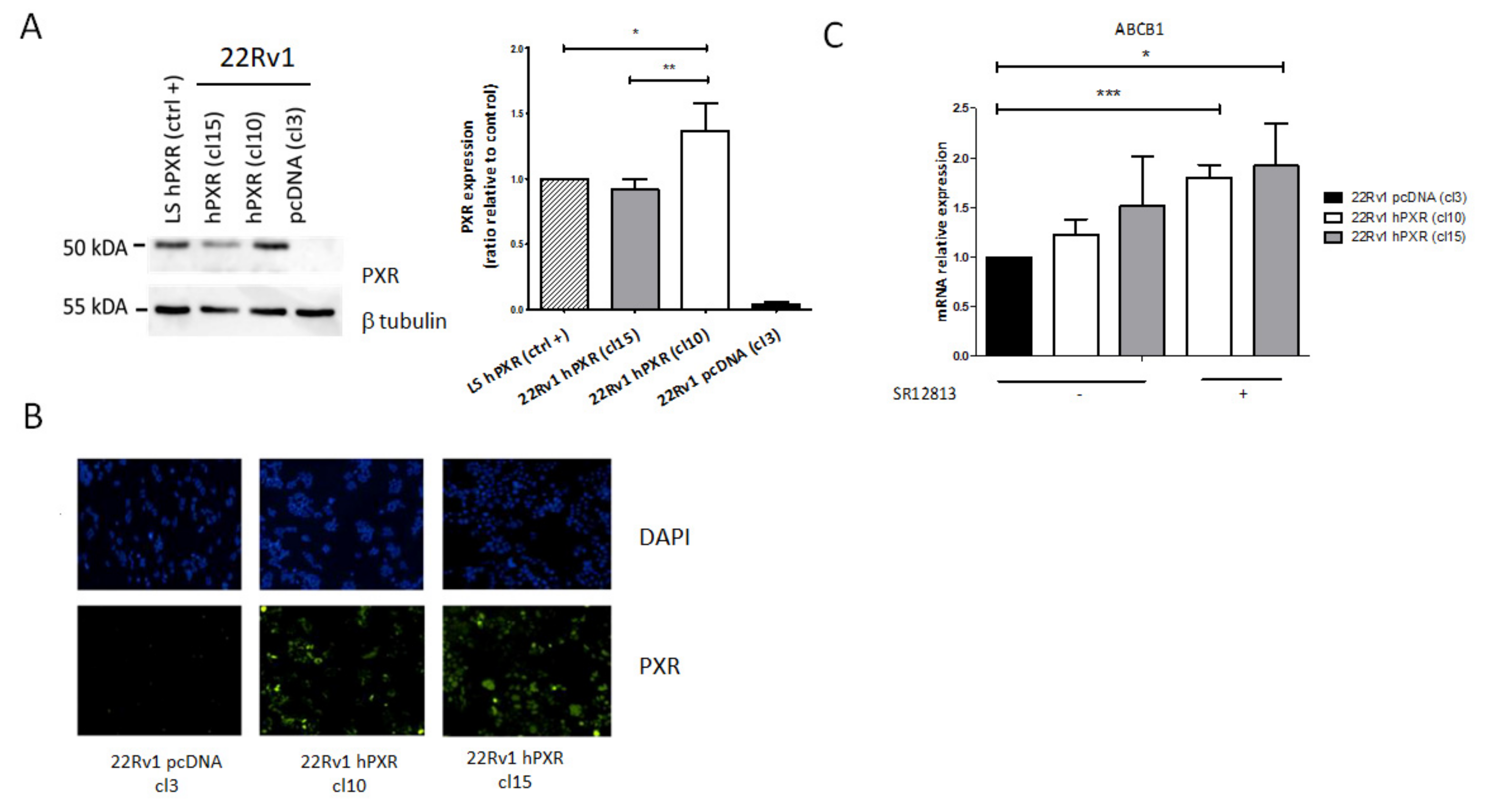 Cancers 13 03635 g002 Cancers 13 03635 g002