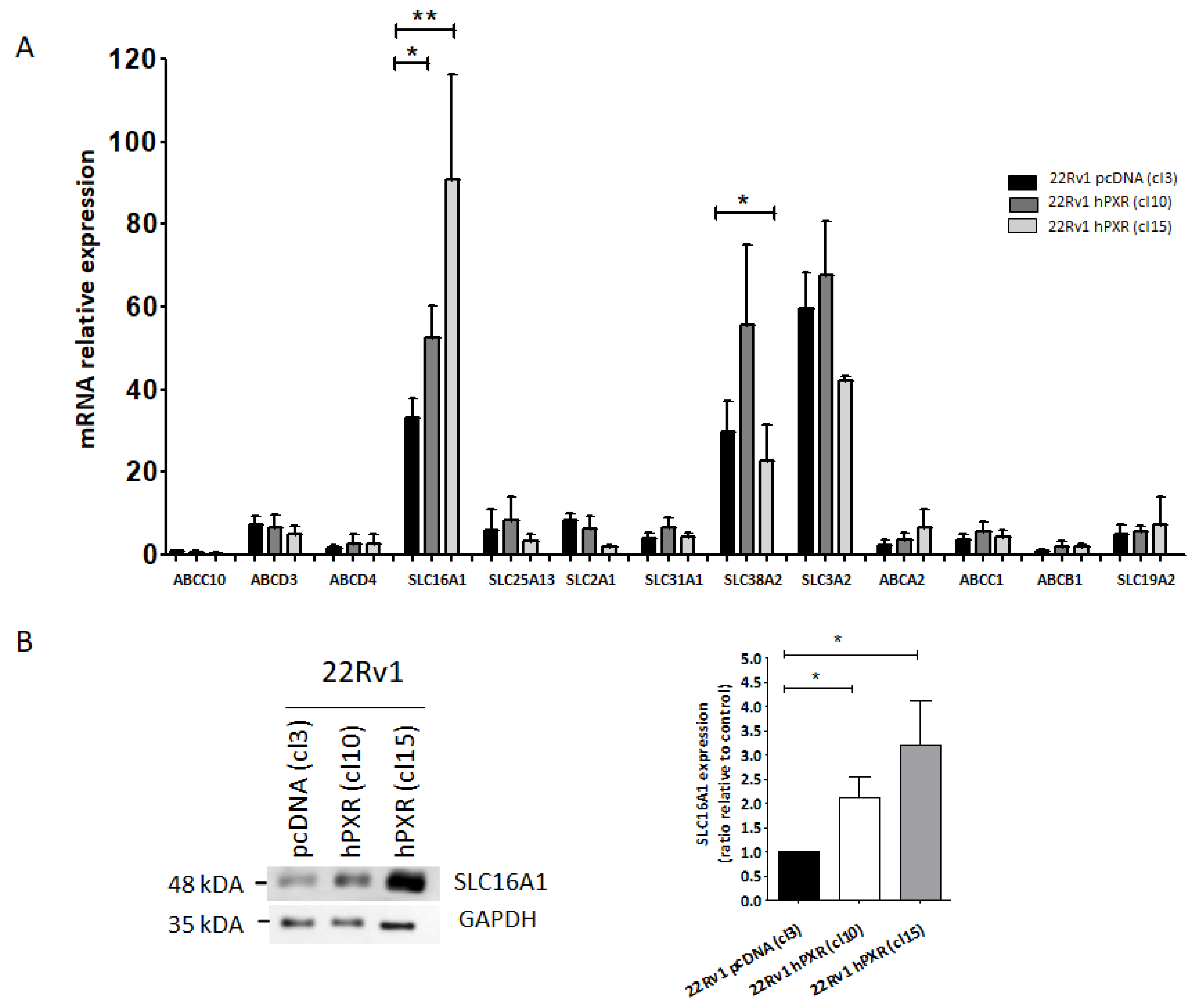 Cancers 13 03635 g005 Cancers 13 03635 g005