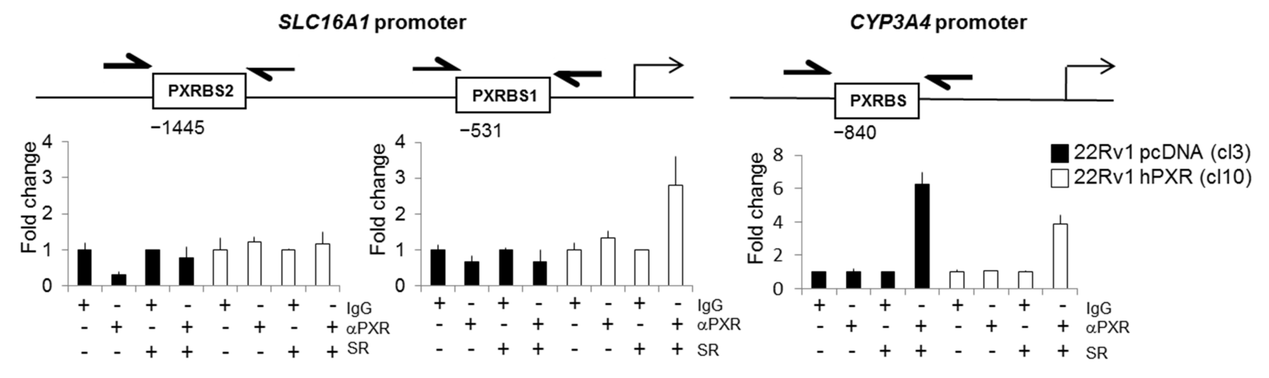 Cancers 13 03635 g007 Cancers 13 03635 g007