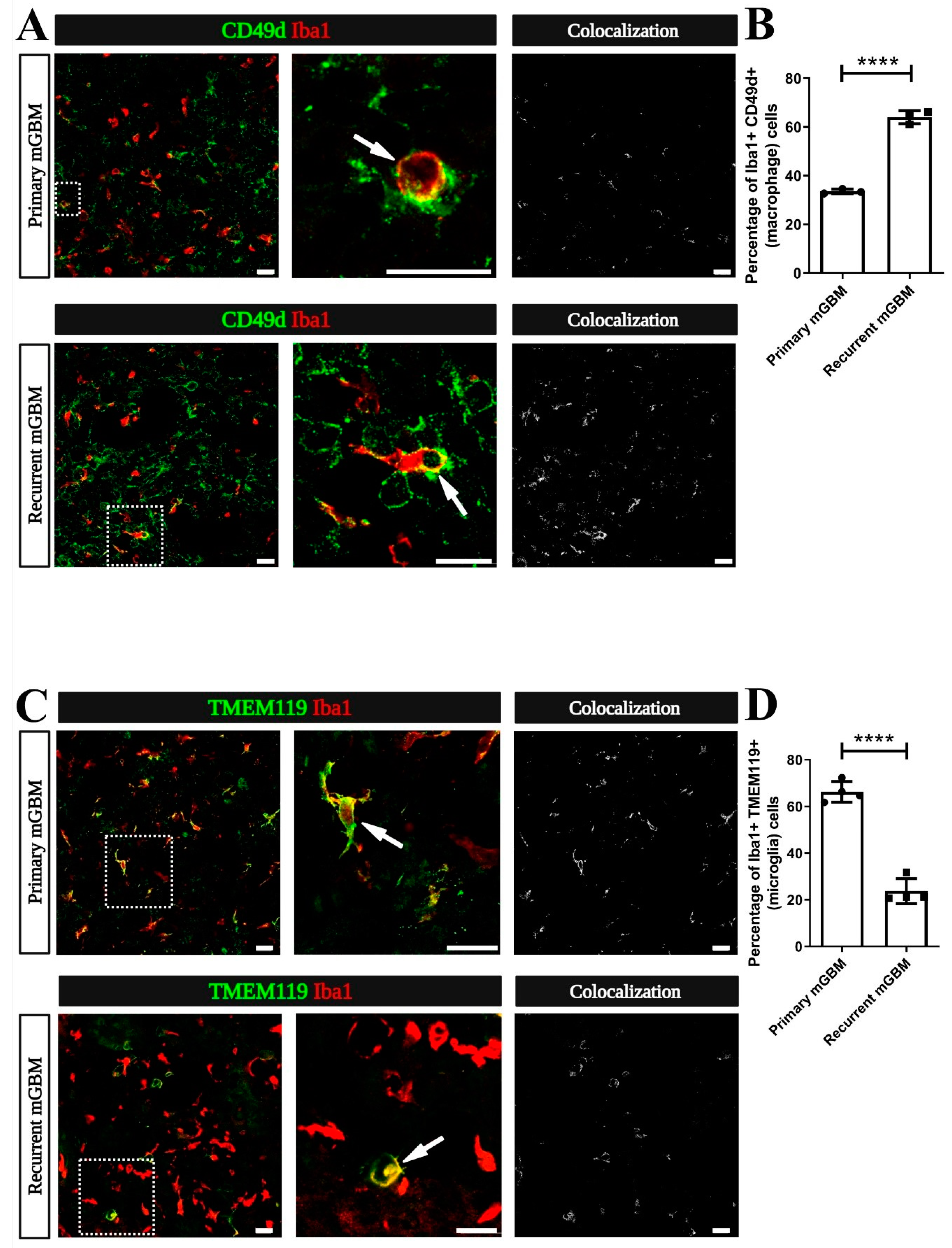 Cancers 13 03636 g003 550