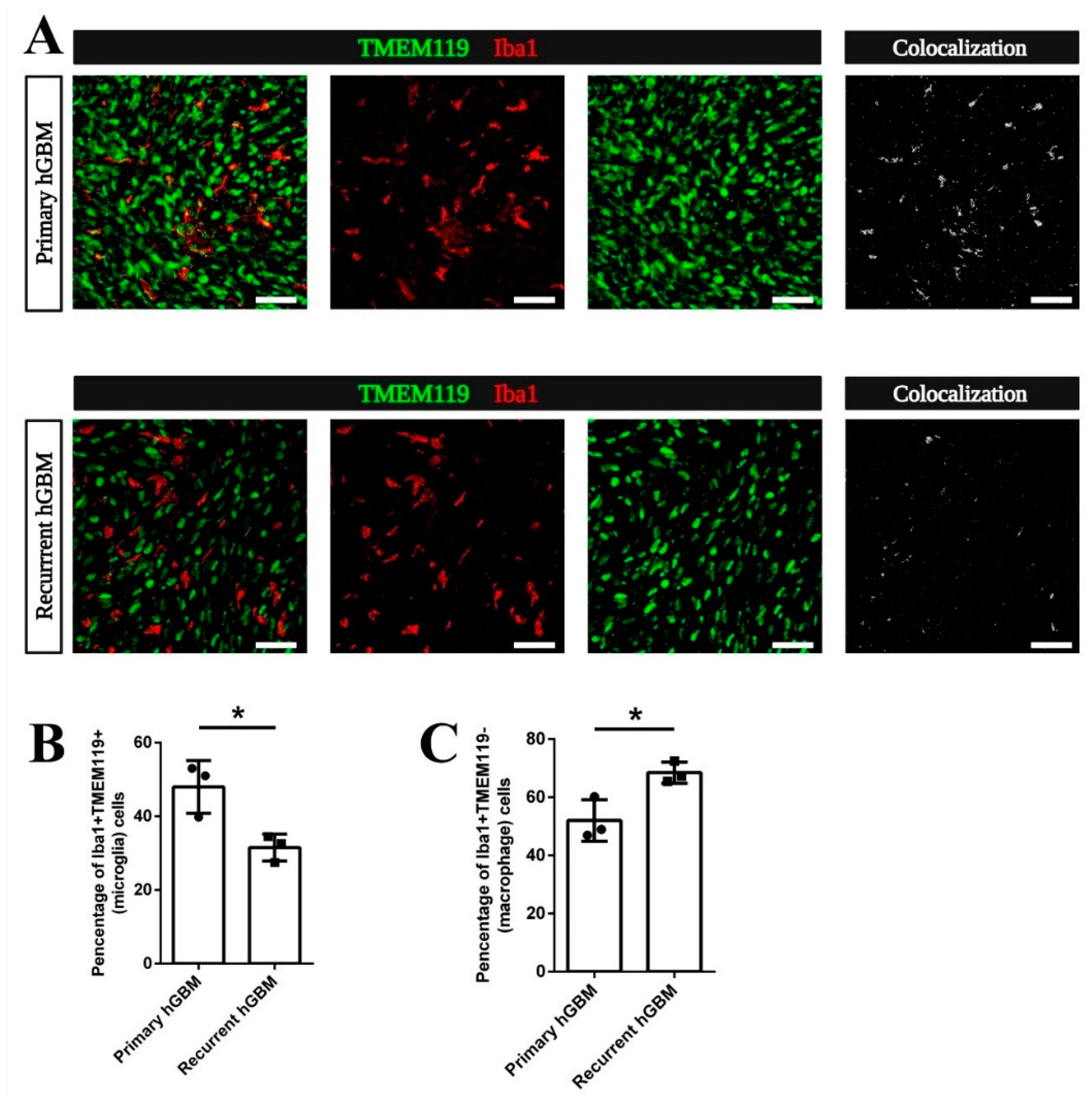 Cancers 13 03636 g005 550