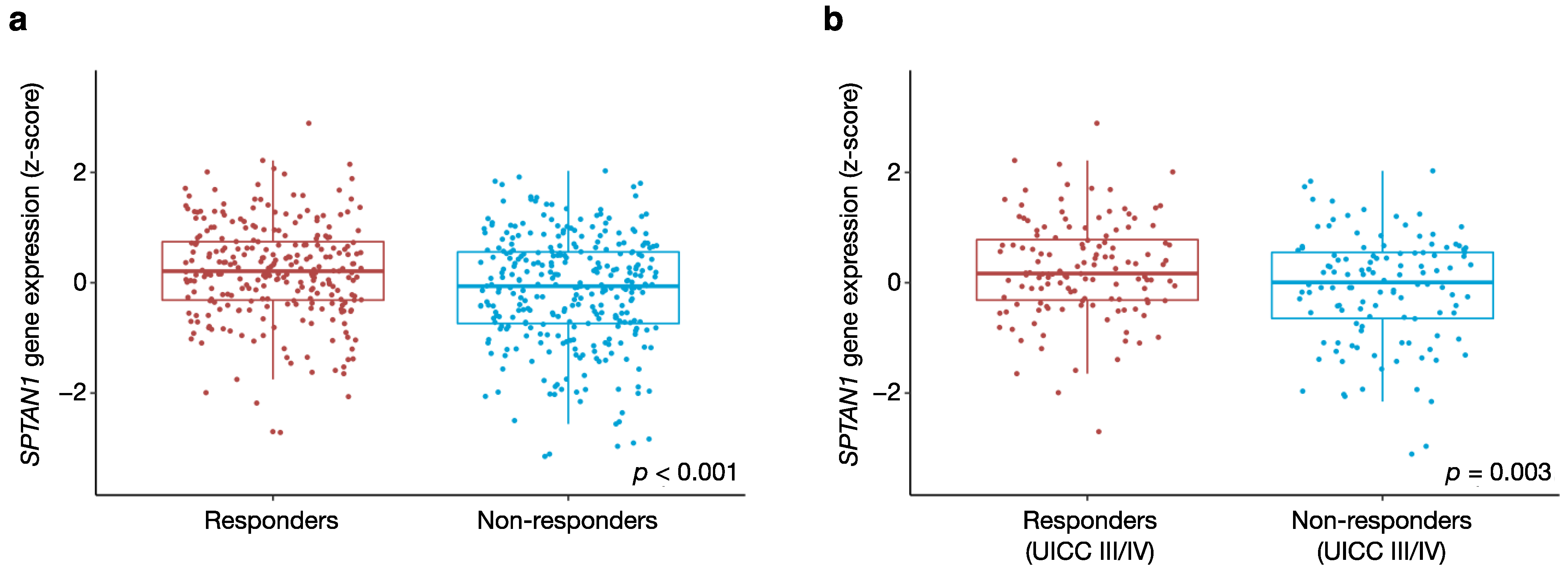 Cancers 13 03638 g004
