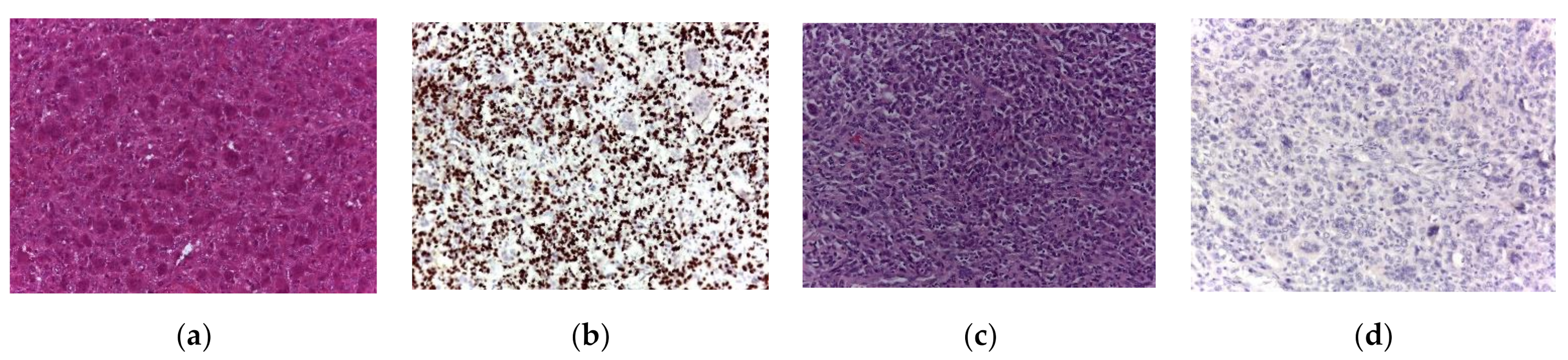 Cancers 13 03644 g002