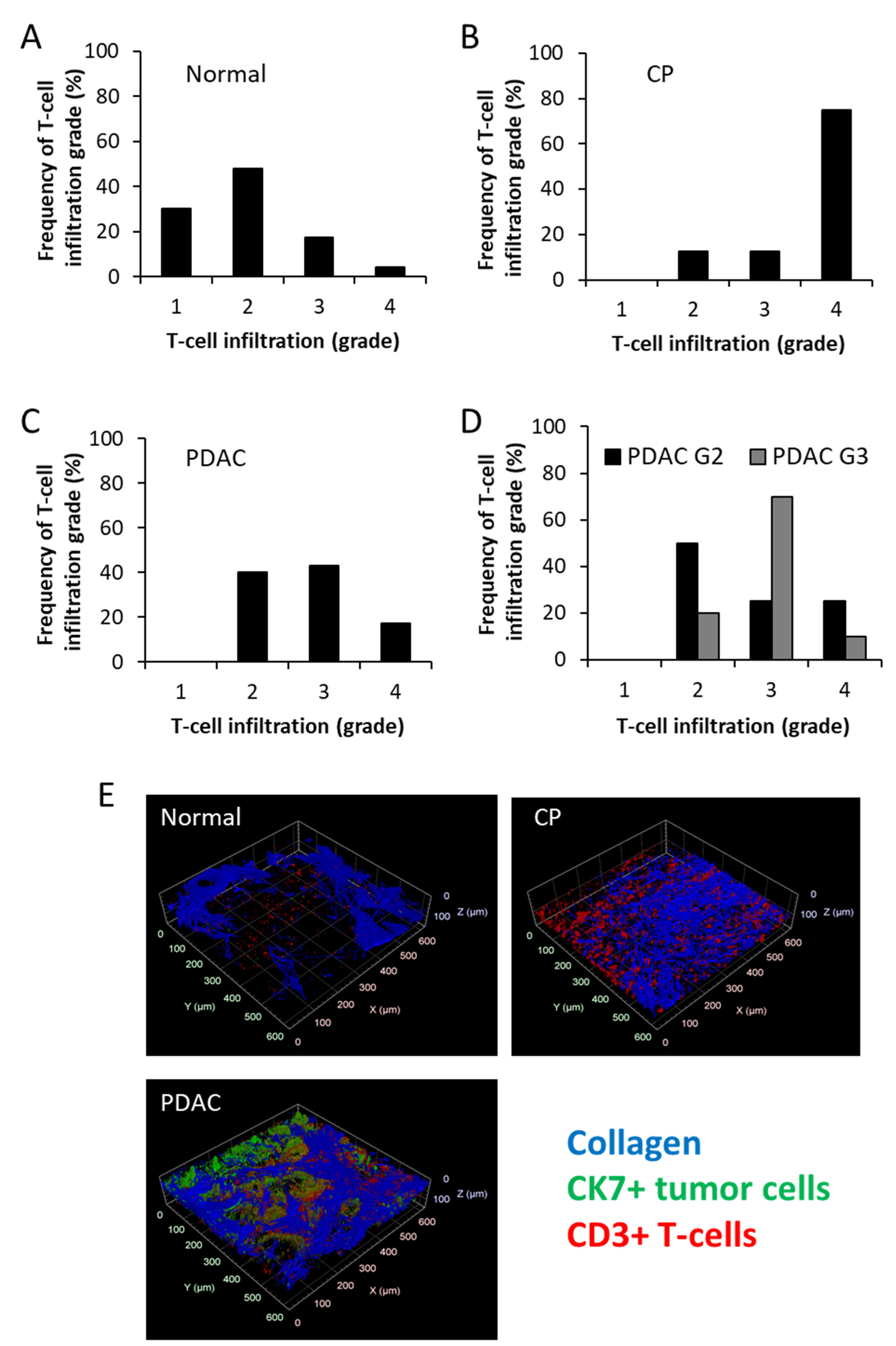 Cancers 13 03648 g004 550