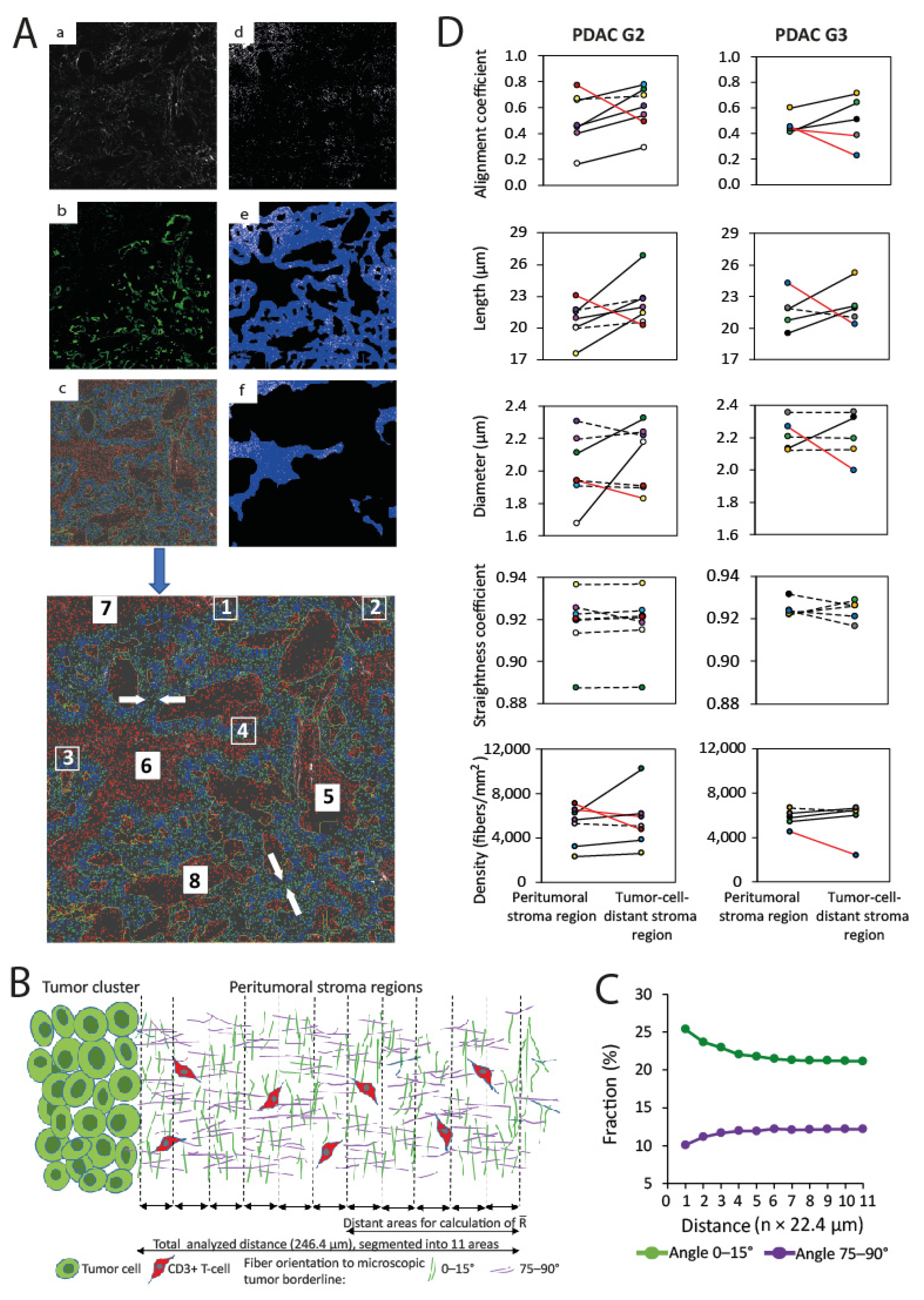 Cancers 13 03648 g006 550