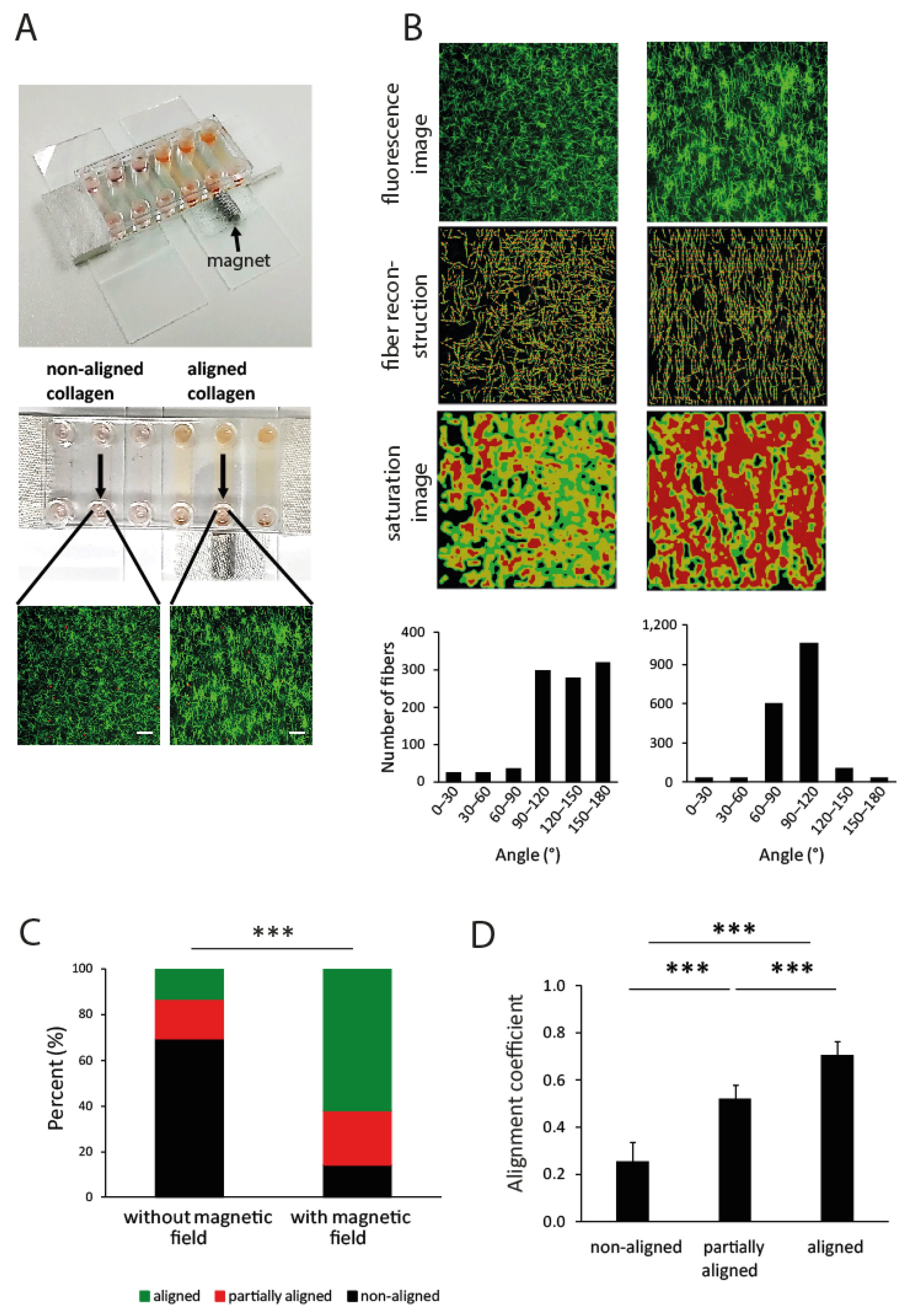 Cancers 13 03648 g009 550