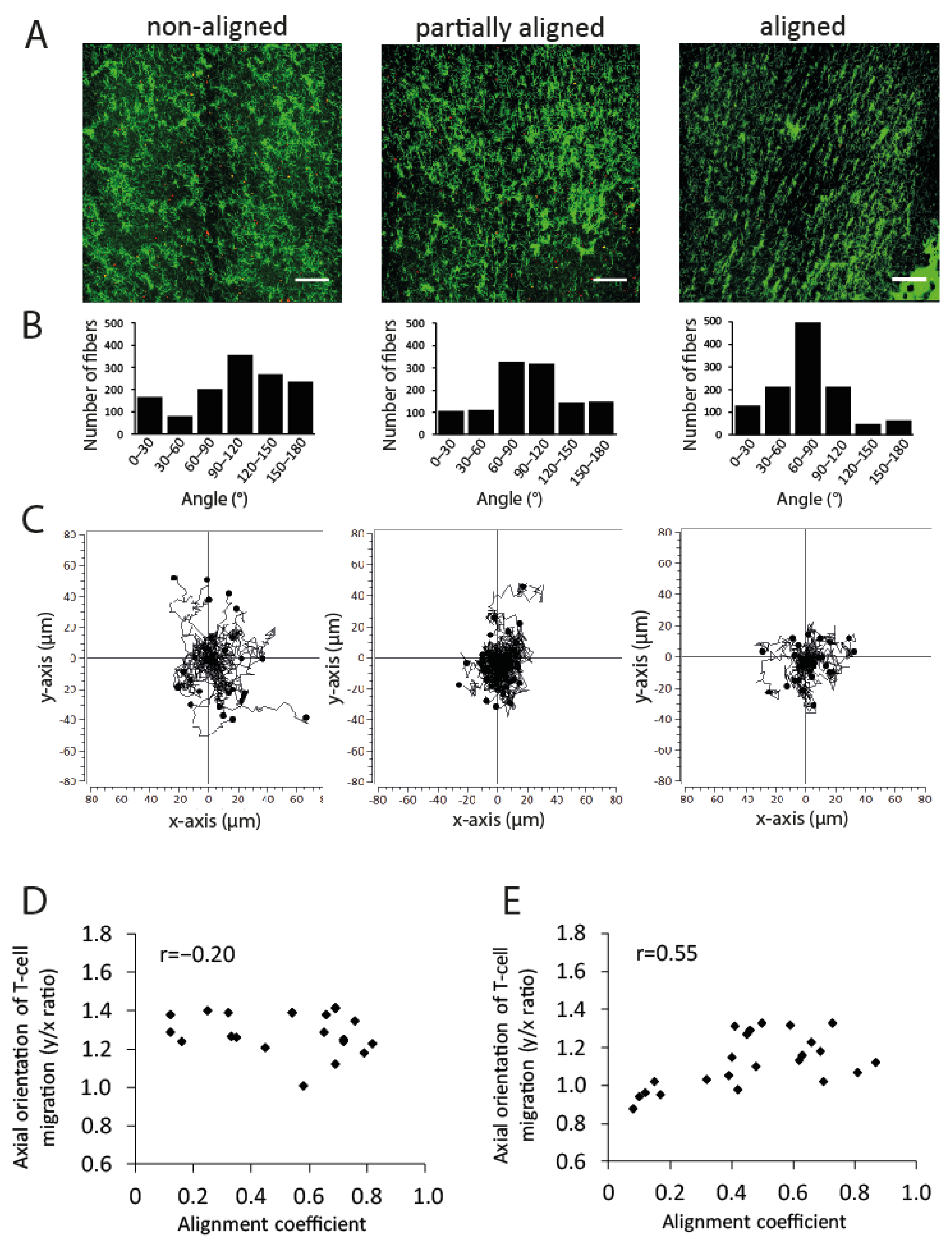 Cancers 13 03648 g010 550