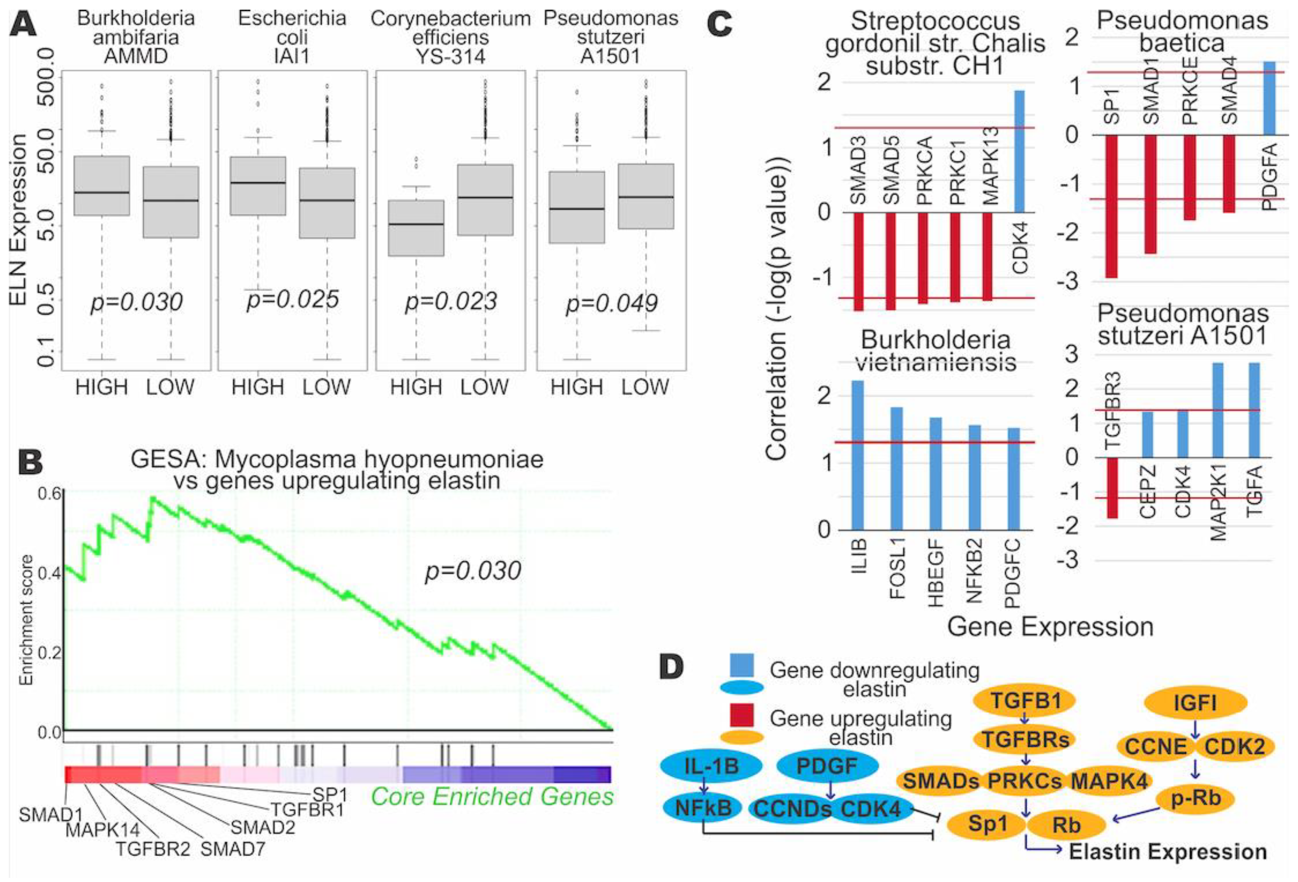 Cancers 13 03649 g004 550