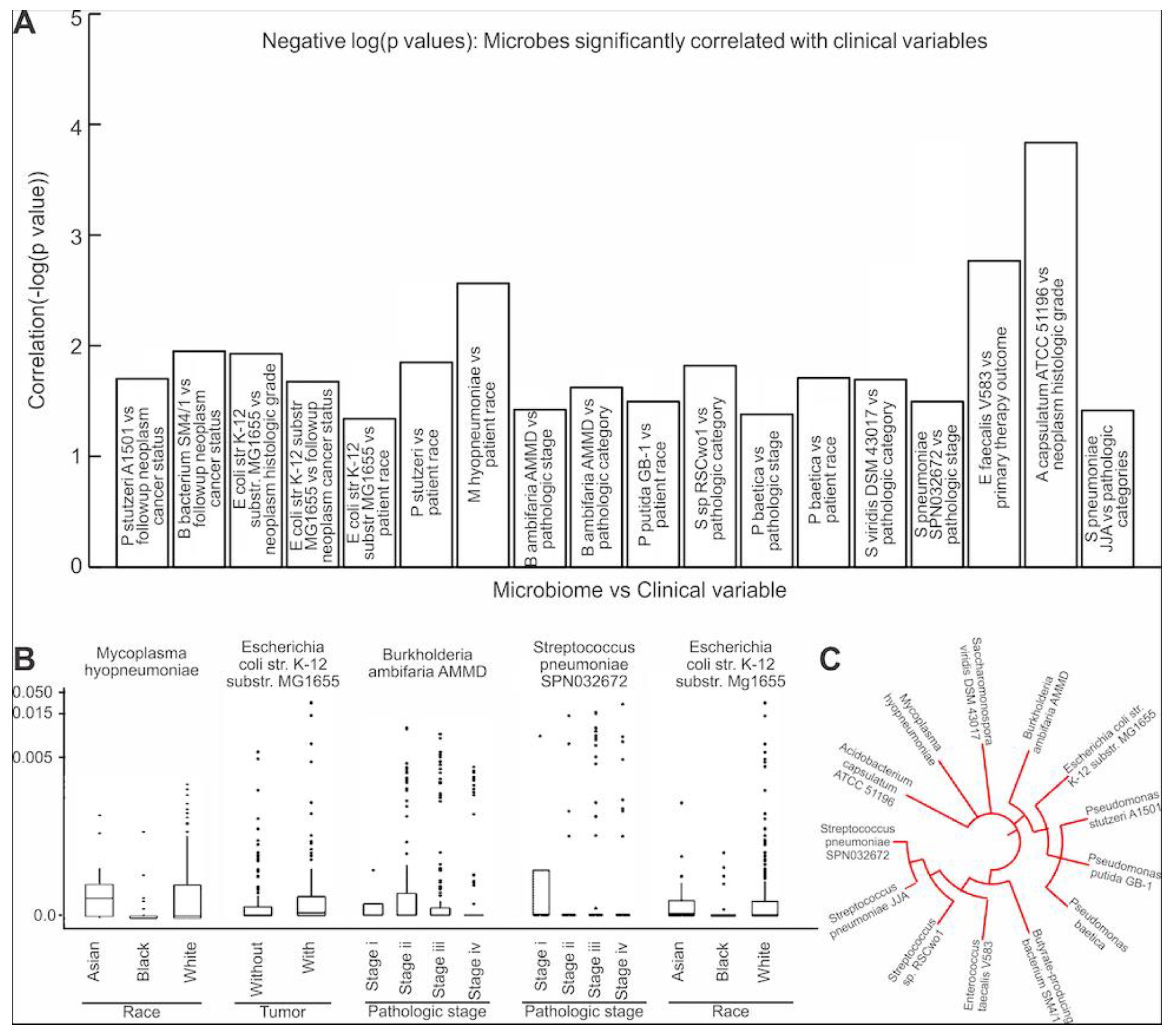 Cancers 13 03649 g005 550