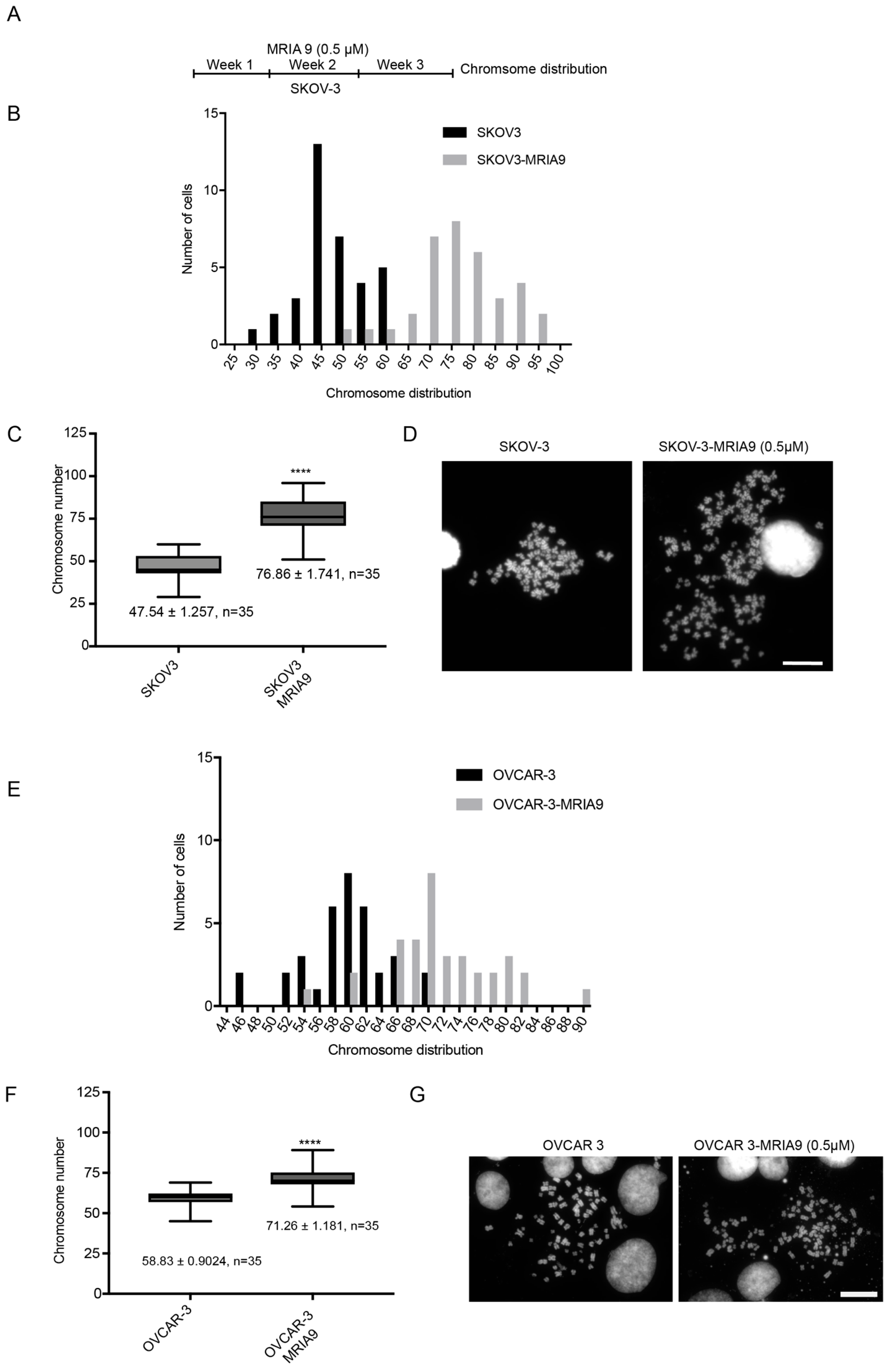 Cancers 13 03658 g004 Cancers 13 03658 g004