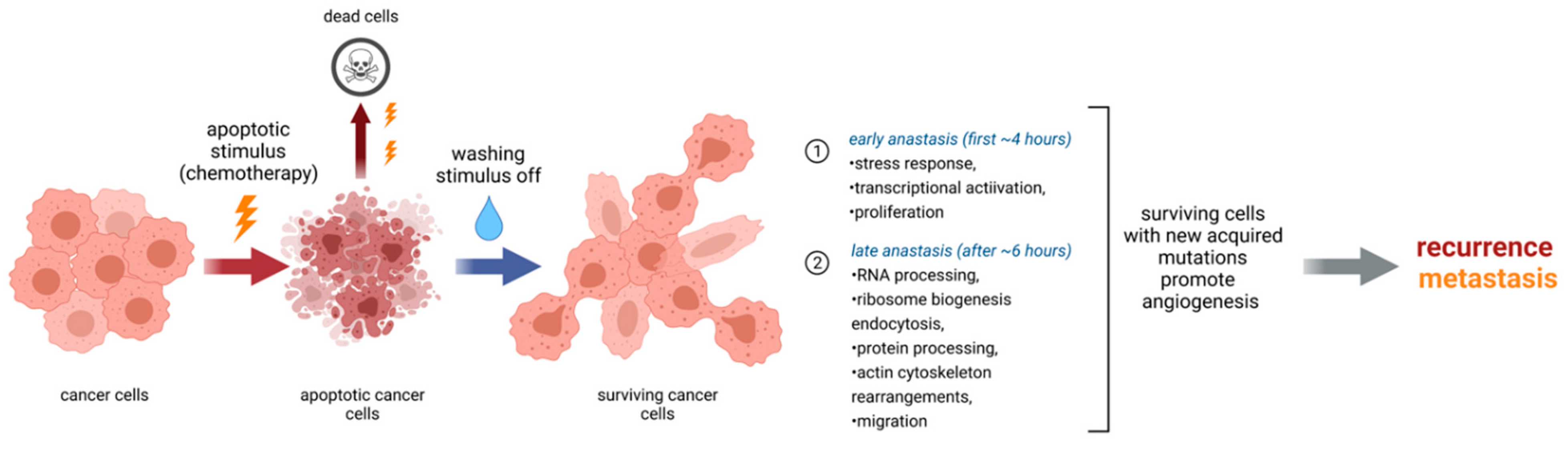 Cancers 13 03671 g002 Cancers 13 03671 g002