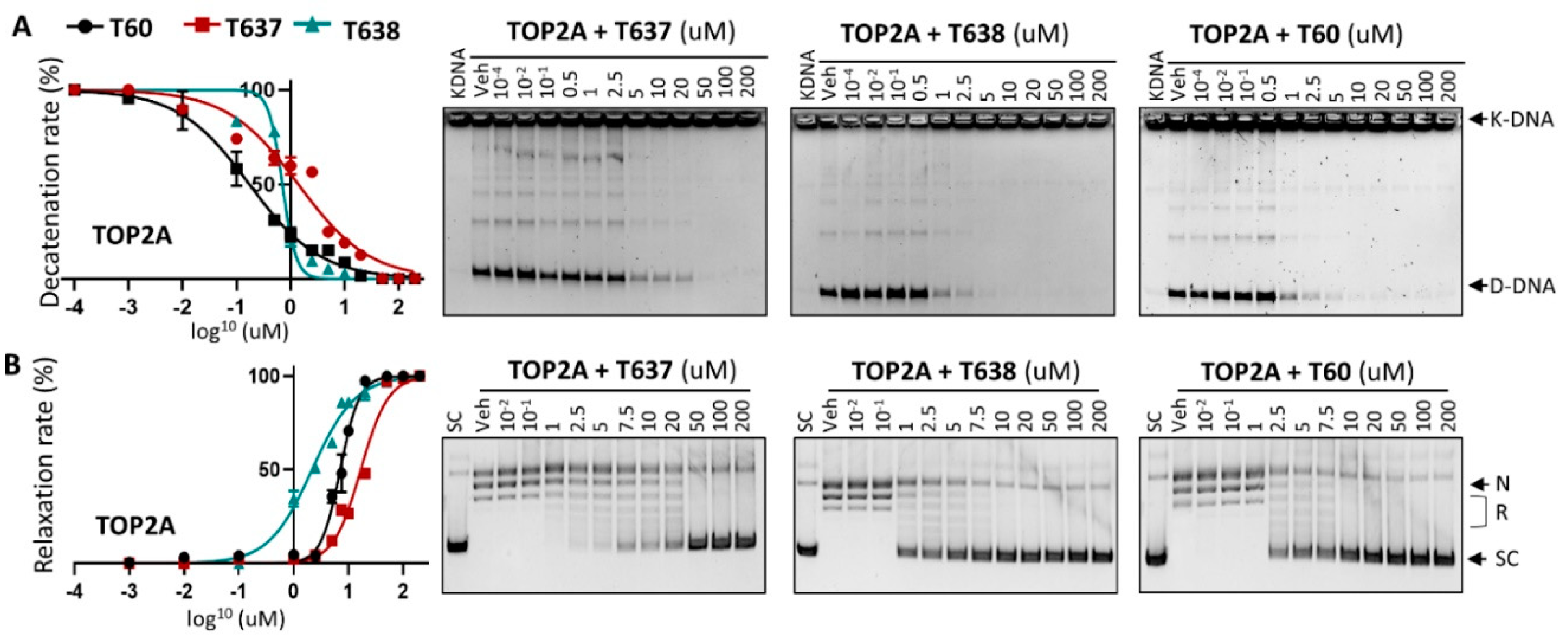 Cancers 13 03675 g002