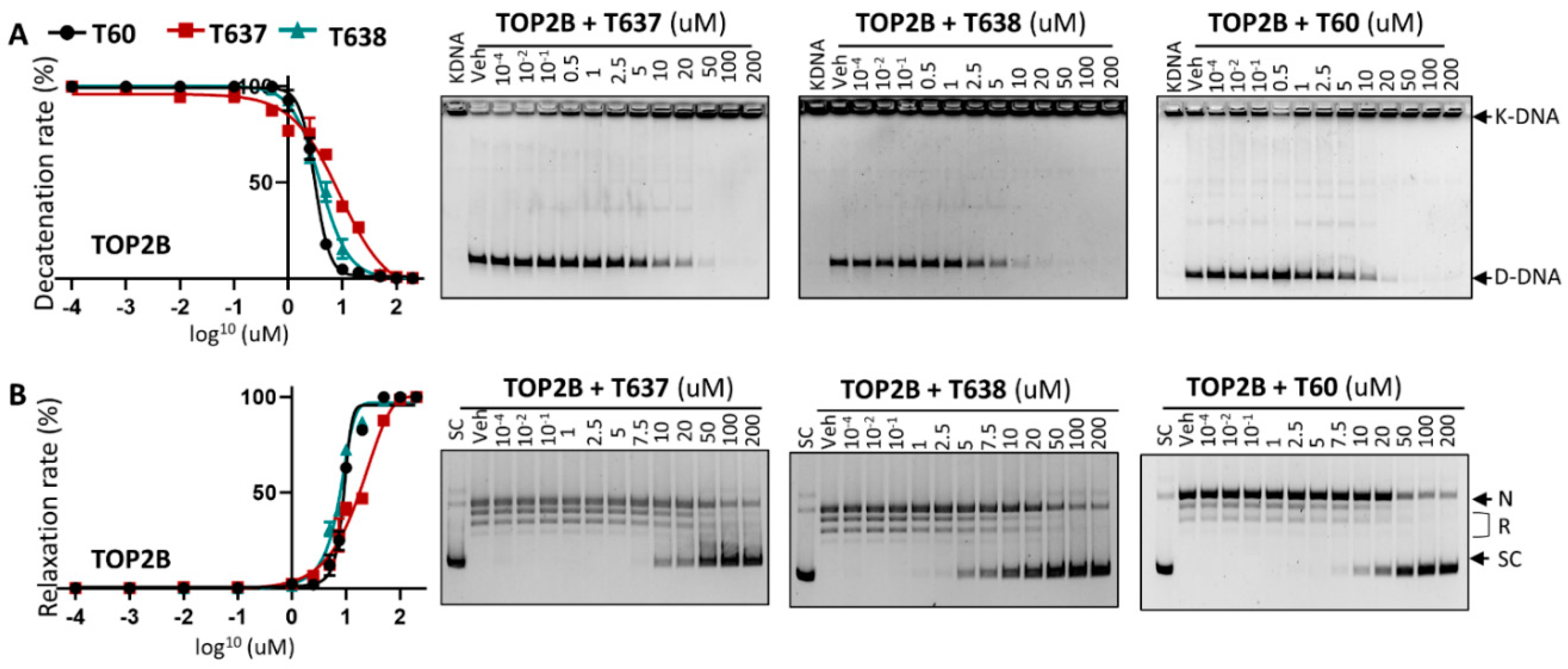 Cancers 13 03675 g003