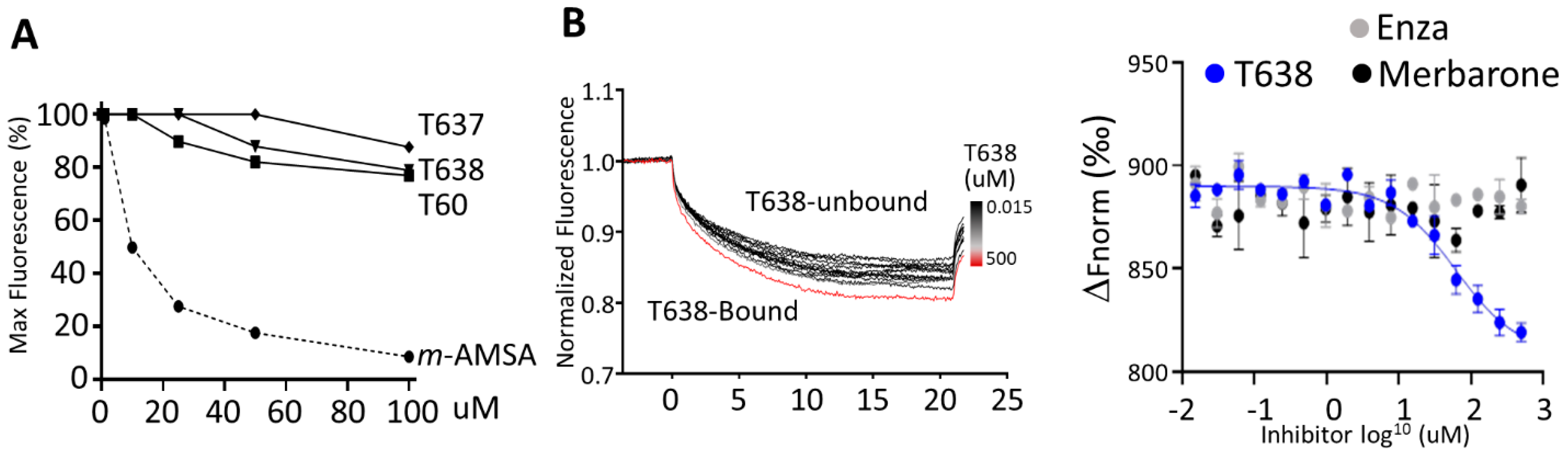 Cancers 13 03675 g004