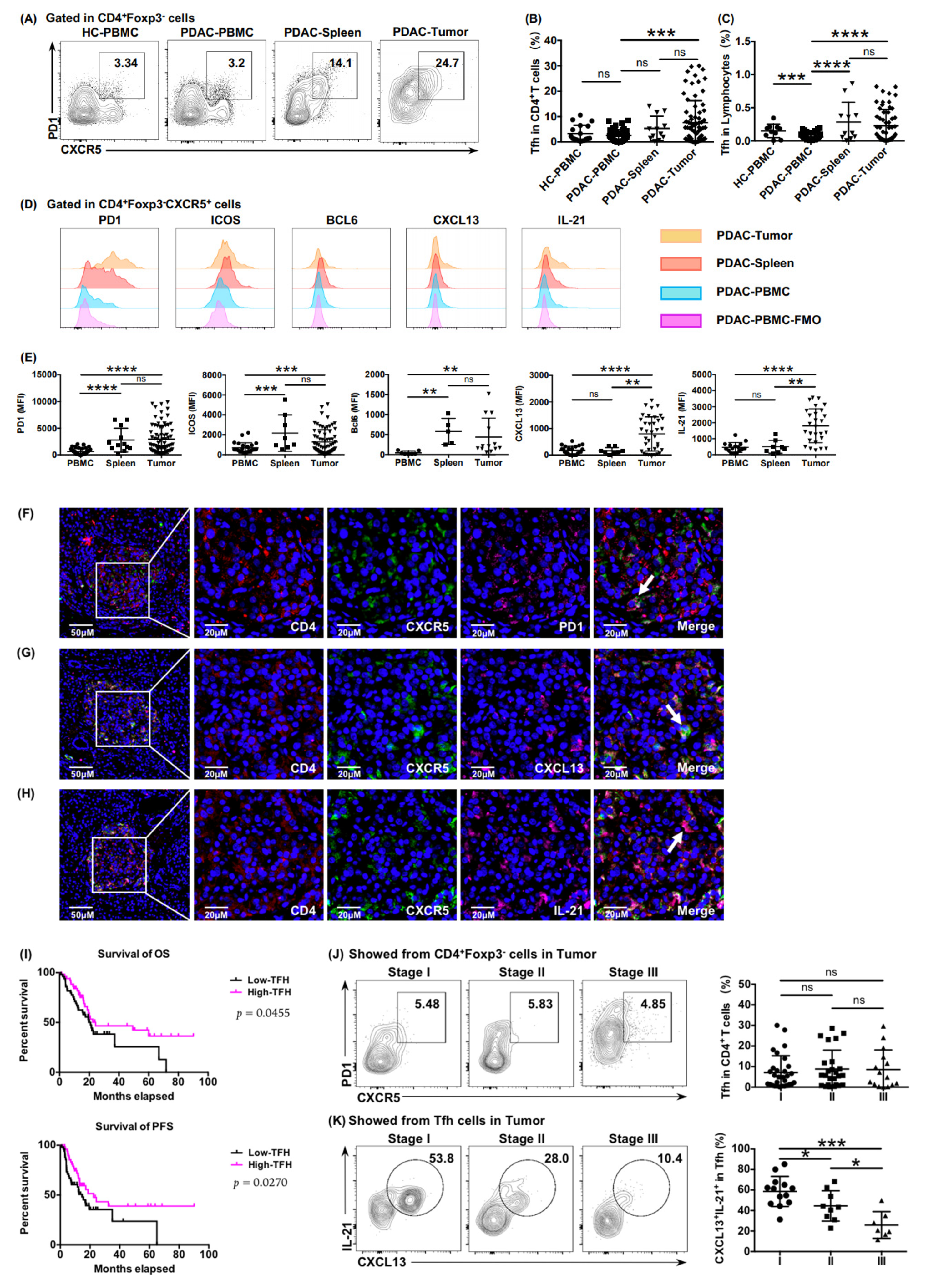 Cancers 13 03678 g001 550