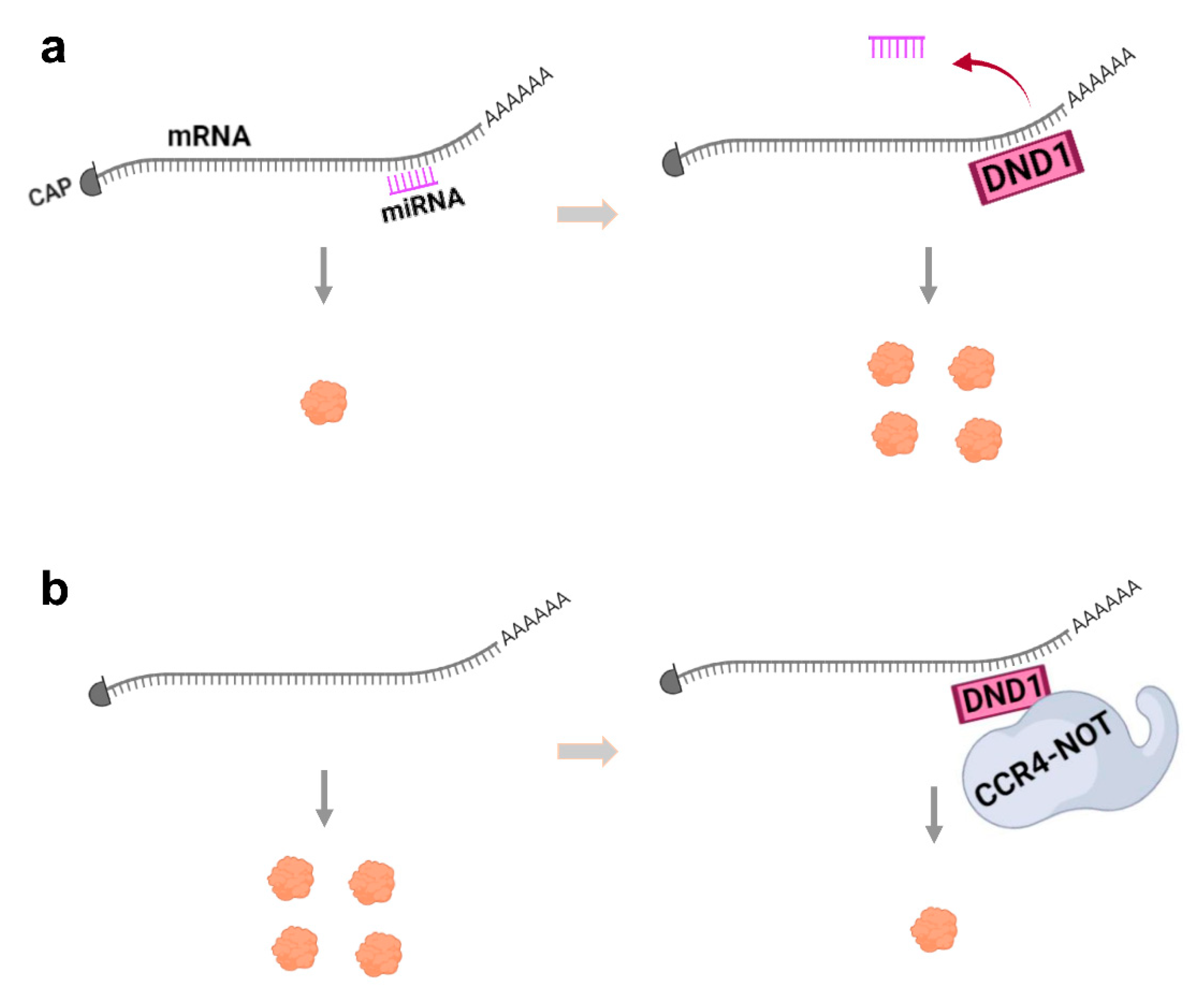 Cancers 13 03679 g002